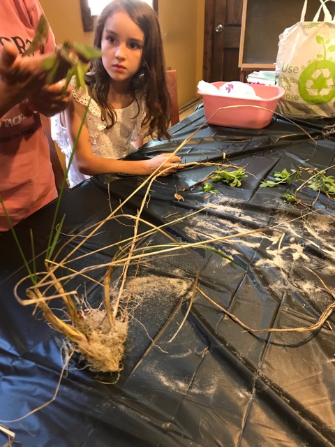 the big word - habitat