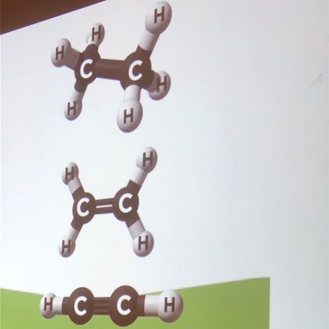 Why carbon is the element of life