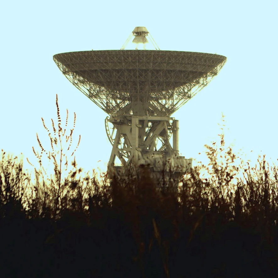 What might alien life look like?