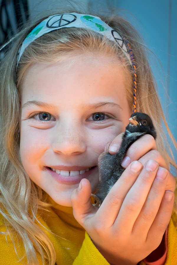 Chicks-10.jpg