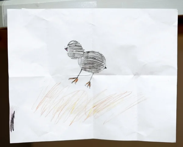 Chicks-001.jpg