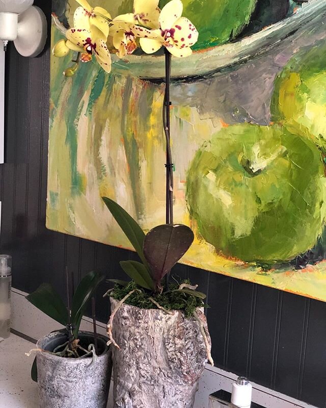 Orchid &amp; still life in bathroom#pondsidenursey#home#interiordesign#fdesign#orchids#happiness#lovemylife#carriehaddadgallery