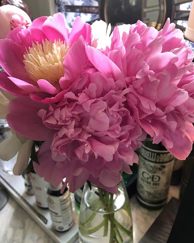 My favorite time of year , when my peonies bloom #peonies#thecottage#catskills#fdesign#lifeisgood