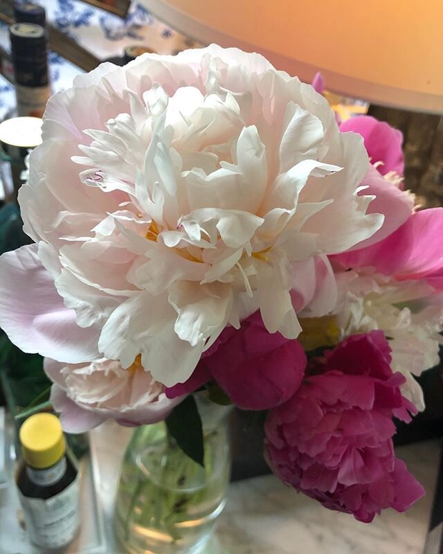 With all the chaos in the world, the beauty of nature is my respite #peonies#thecottage#fdesign#blessed