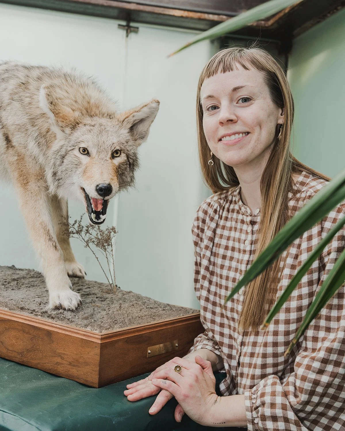 Image of artist Maggie Dimmick