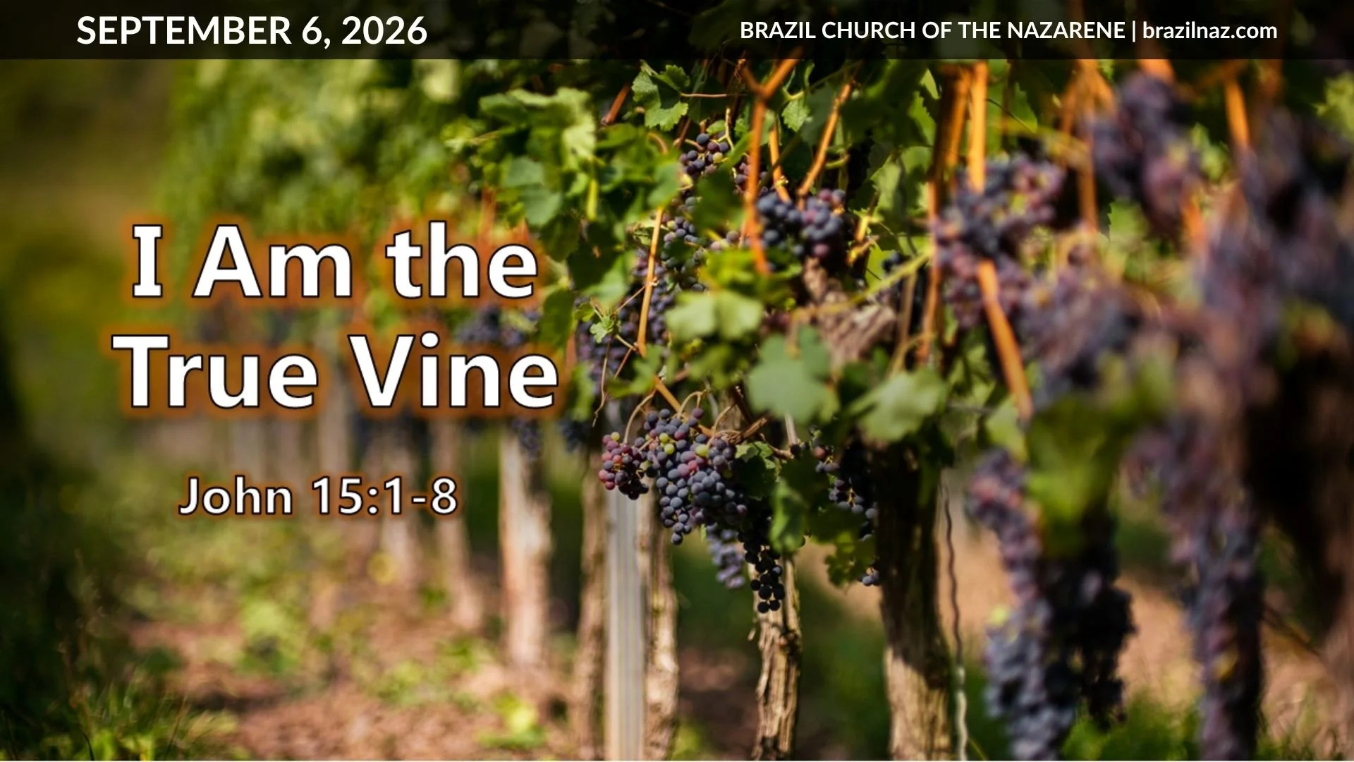 "I Am the True Vine" (John 15:1-8)