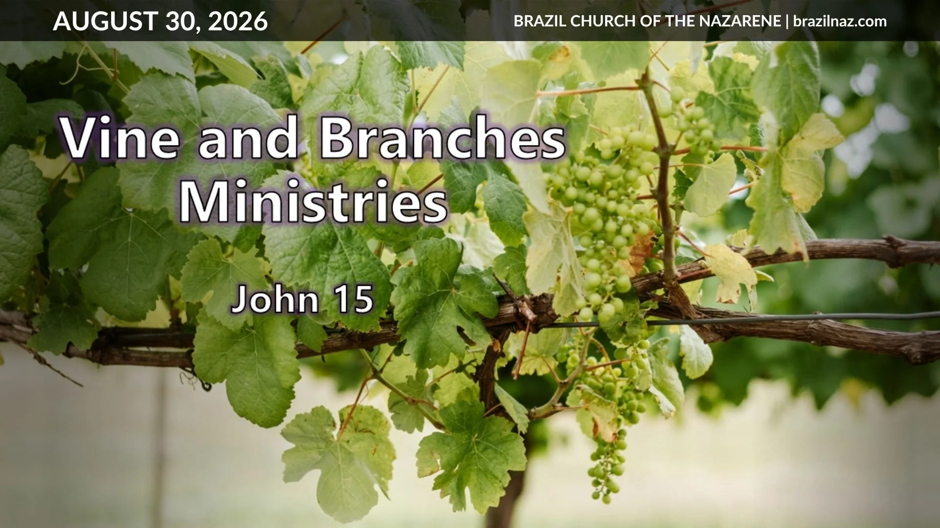 "Vine and Branches Ministry" (John 15:1-8)