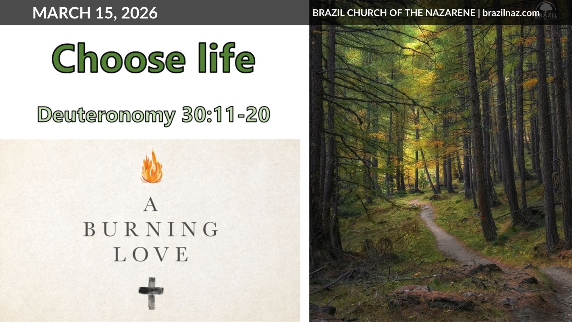 "Choose Life" (Deuteronomy 30:11-20)