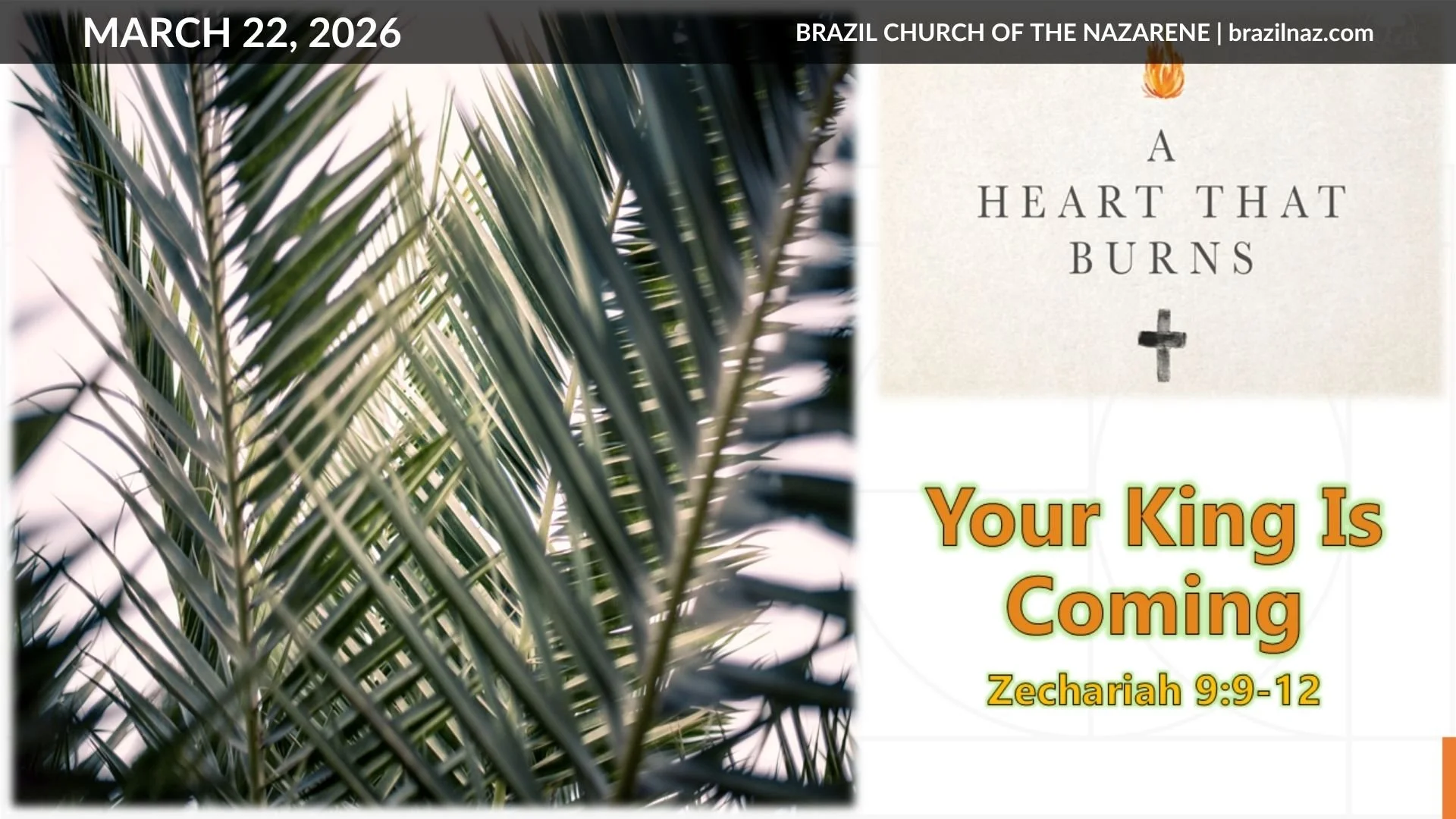 "Your King Is Coming" (Zechariah 9:9-12)