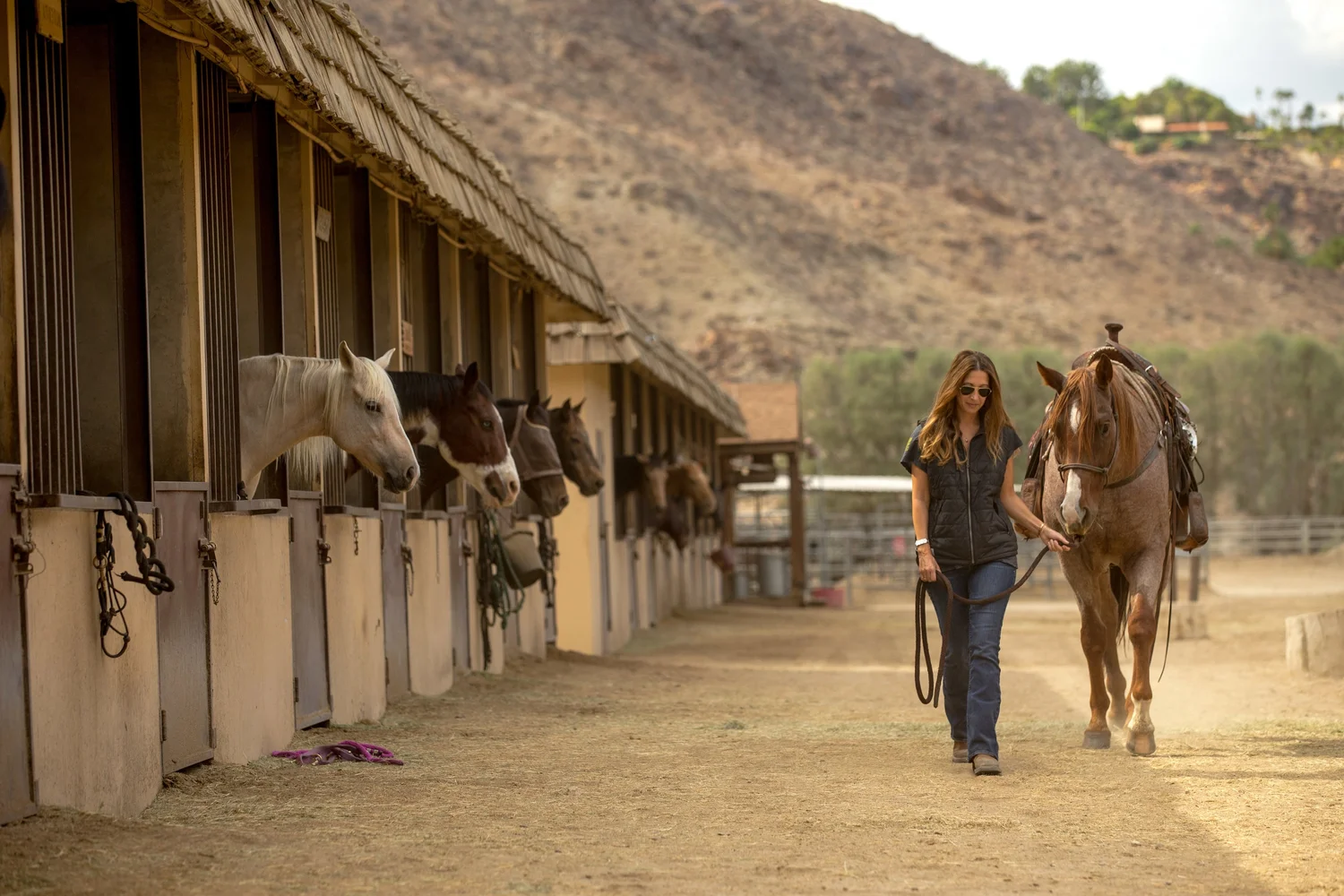 Wisdomtree Stables SMOKE TREE STABLES — Equine Therapy