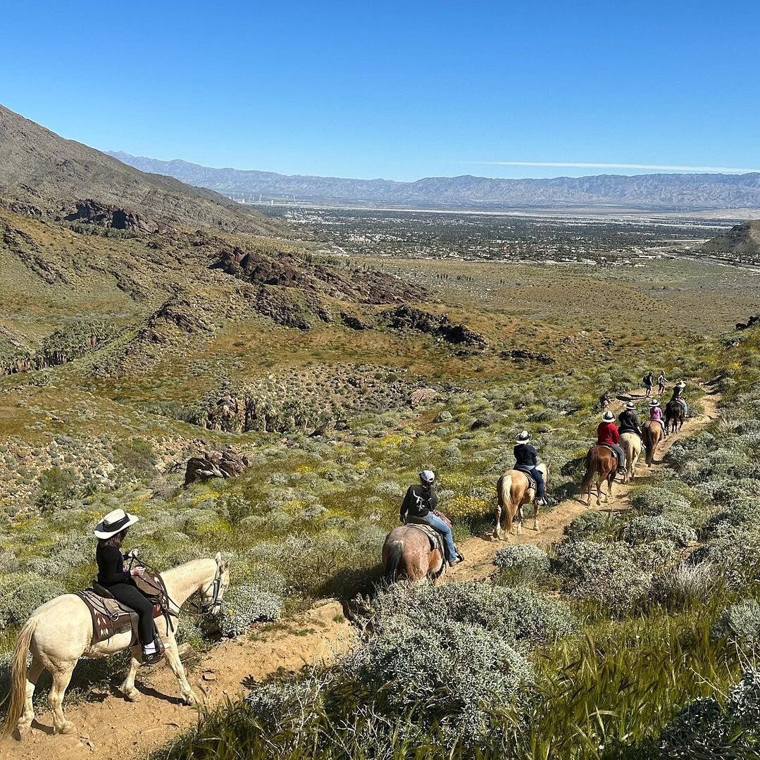 Smoke Tree Stables Murray Canyon Haul Ride #smoketreestables #palmsprings 
#photo #repost @lisamarieringus