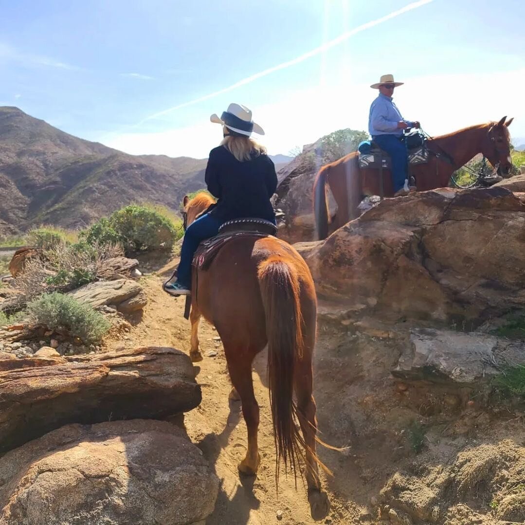 &ldquo;Ask me to show you poetry in motion and I will show you a horse.&rdquo; - #repost #photo @etwojda 
#riding at #smoketreestables