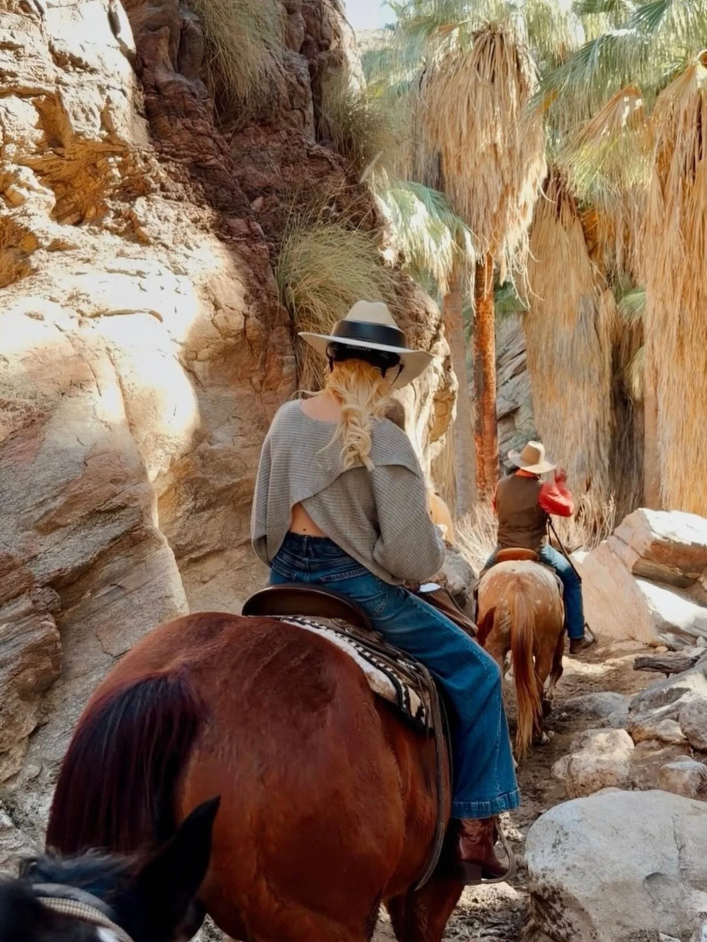 Moments like these, out on the trail.
Book your ride and experience it for yourself.
#Repost @sarah_noel__