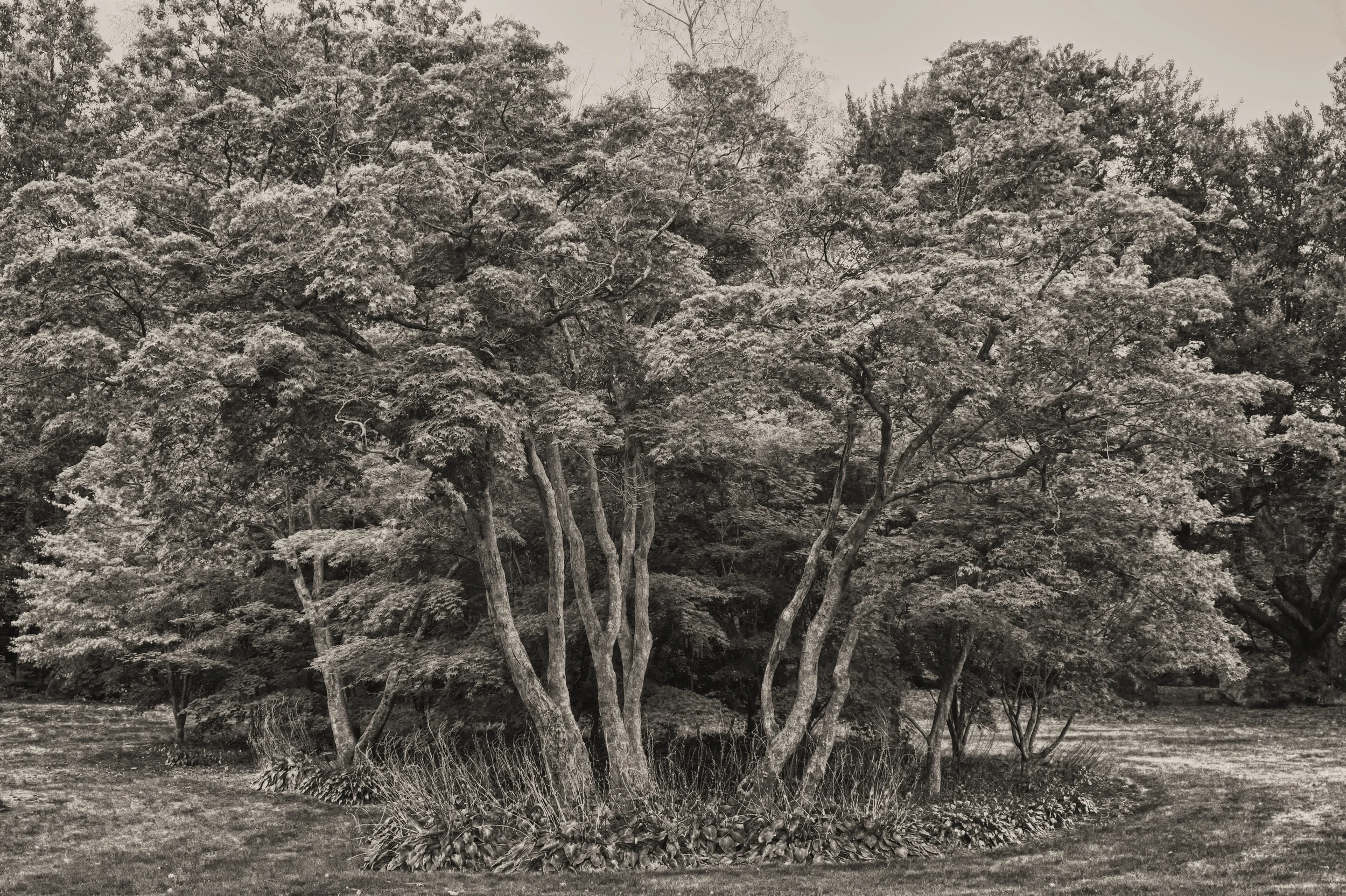 Fort Hill Park, Lowell