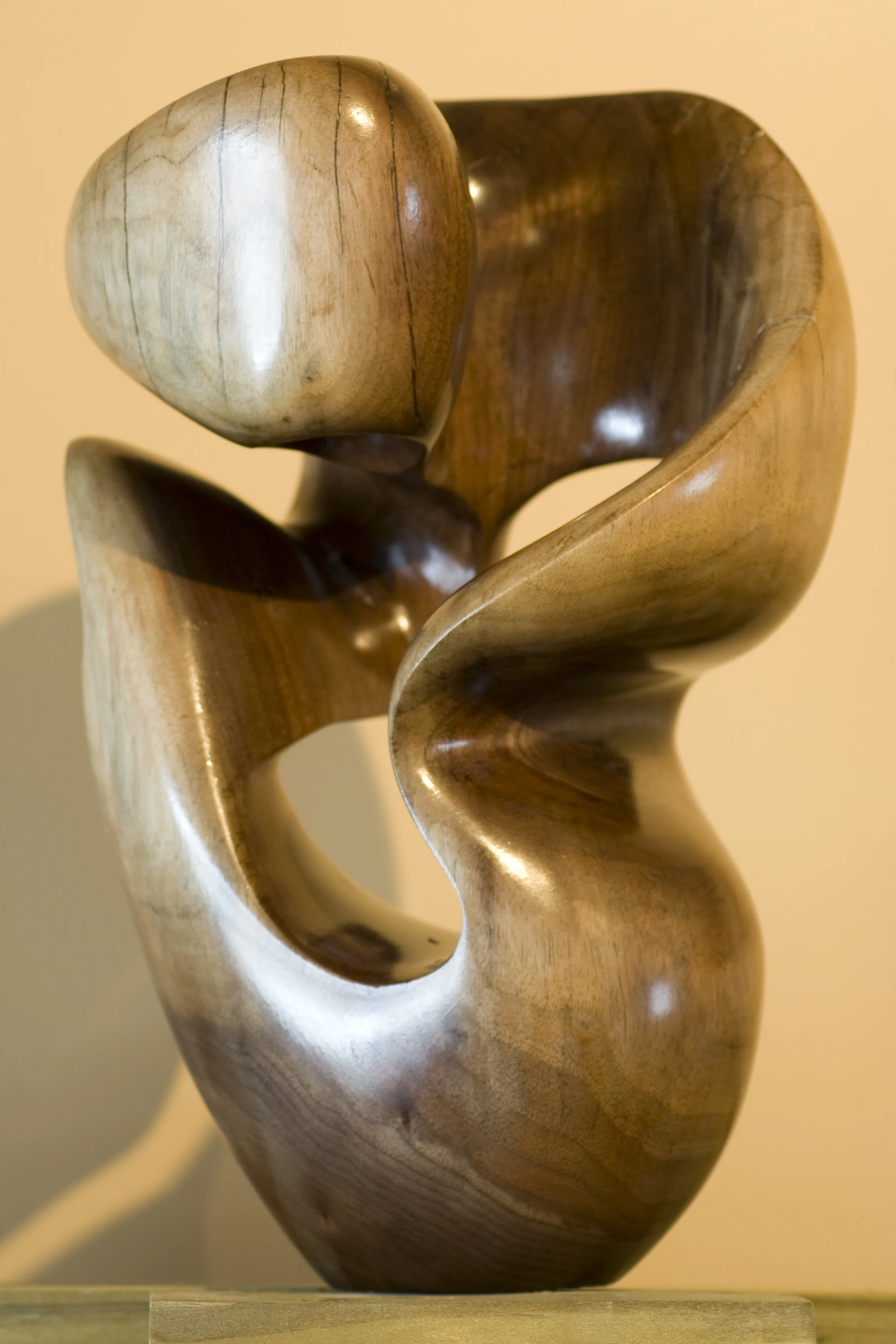 tom's walnut wave 3.jpg