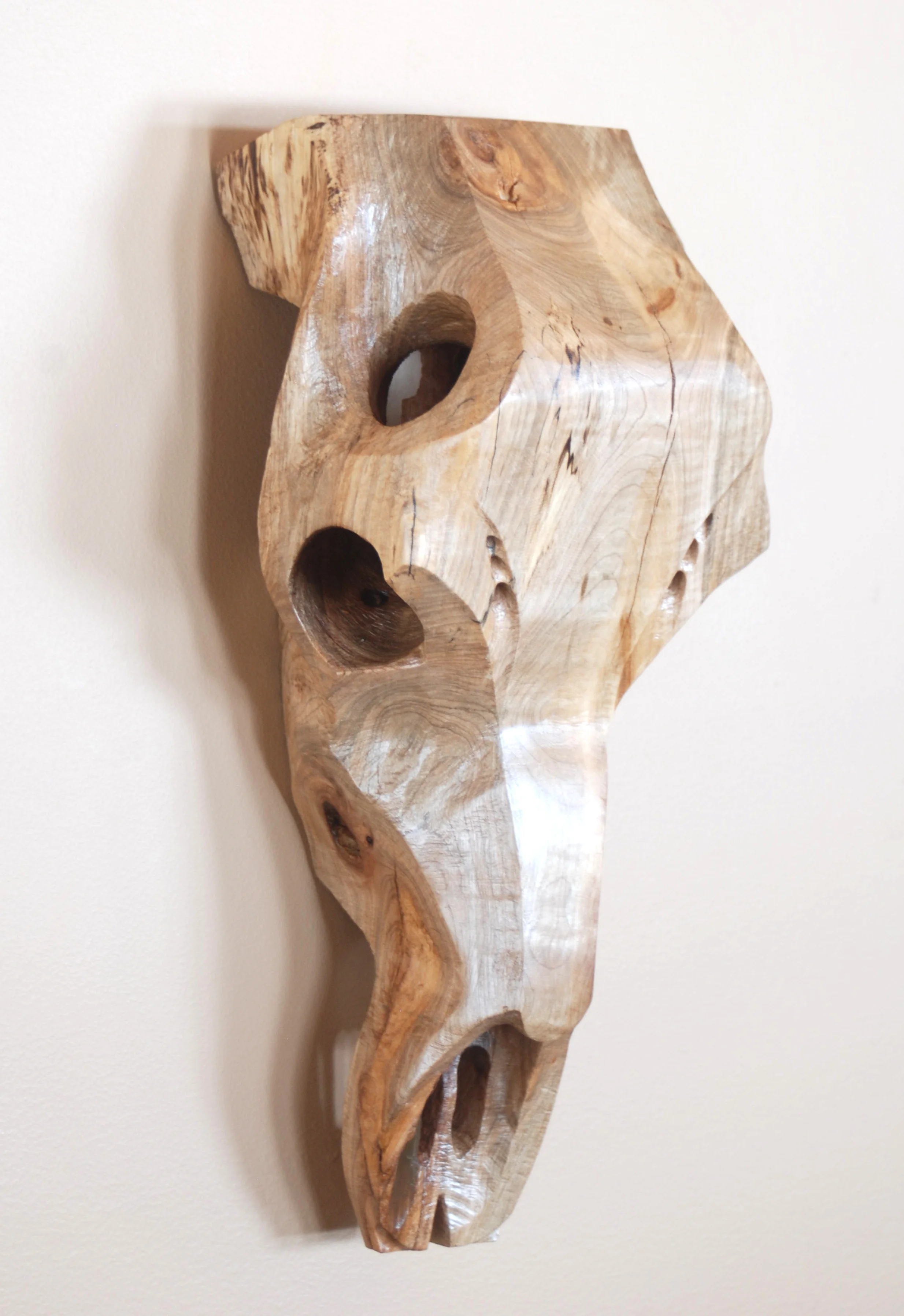Maple Elk Cow