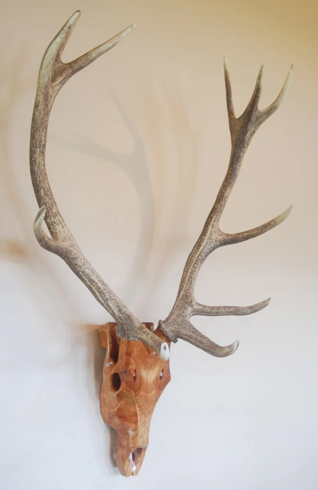Cherry Red Stag