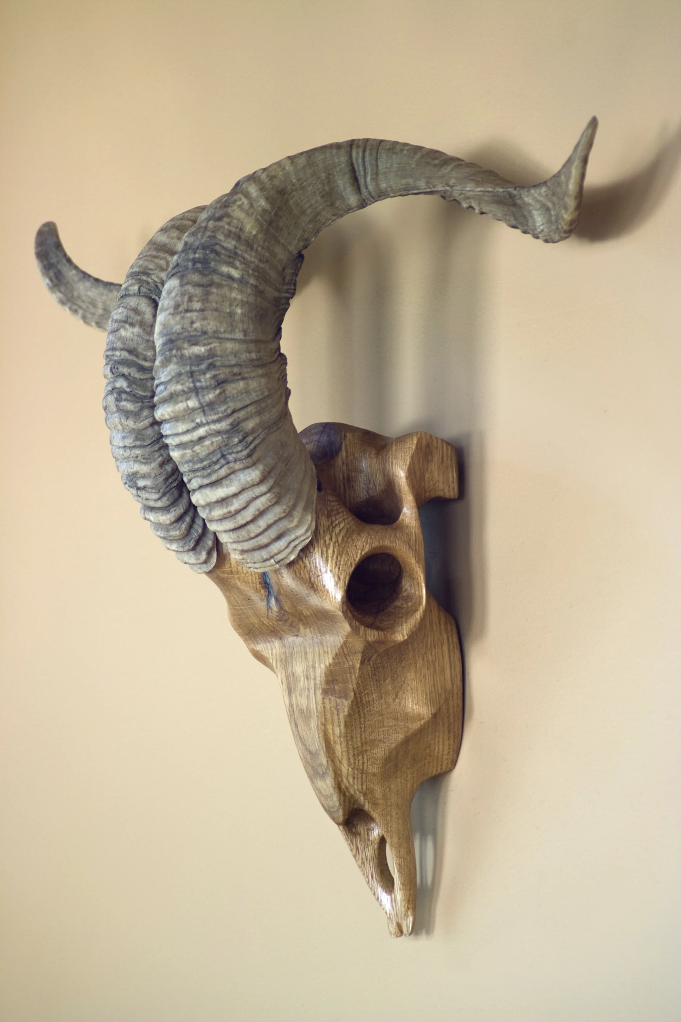 Red Oak Ram