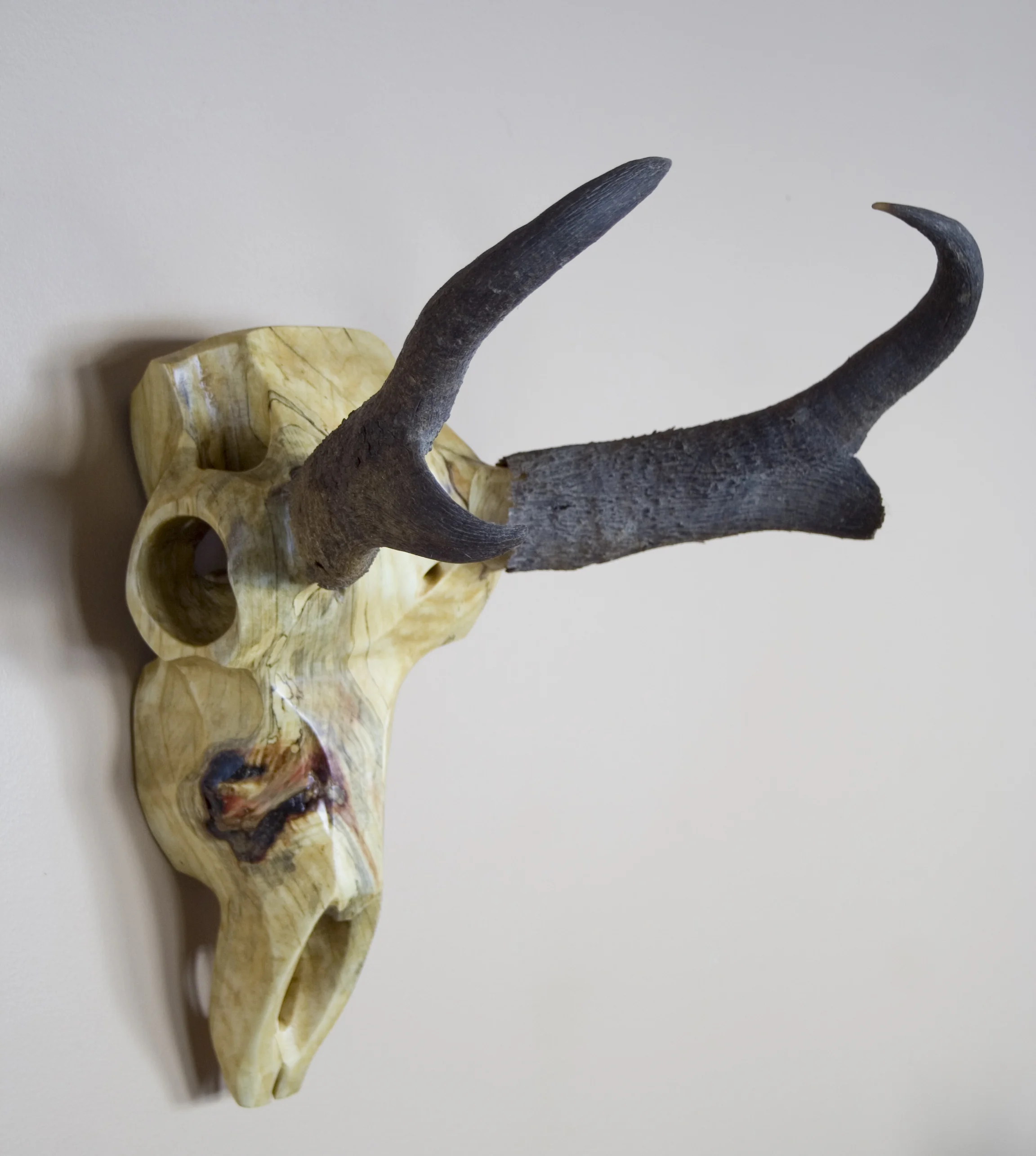 Box Elder Pronghorn