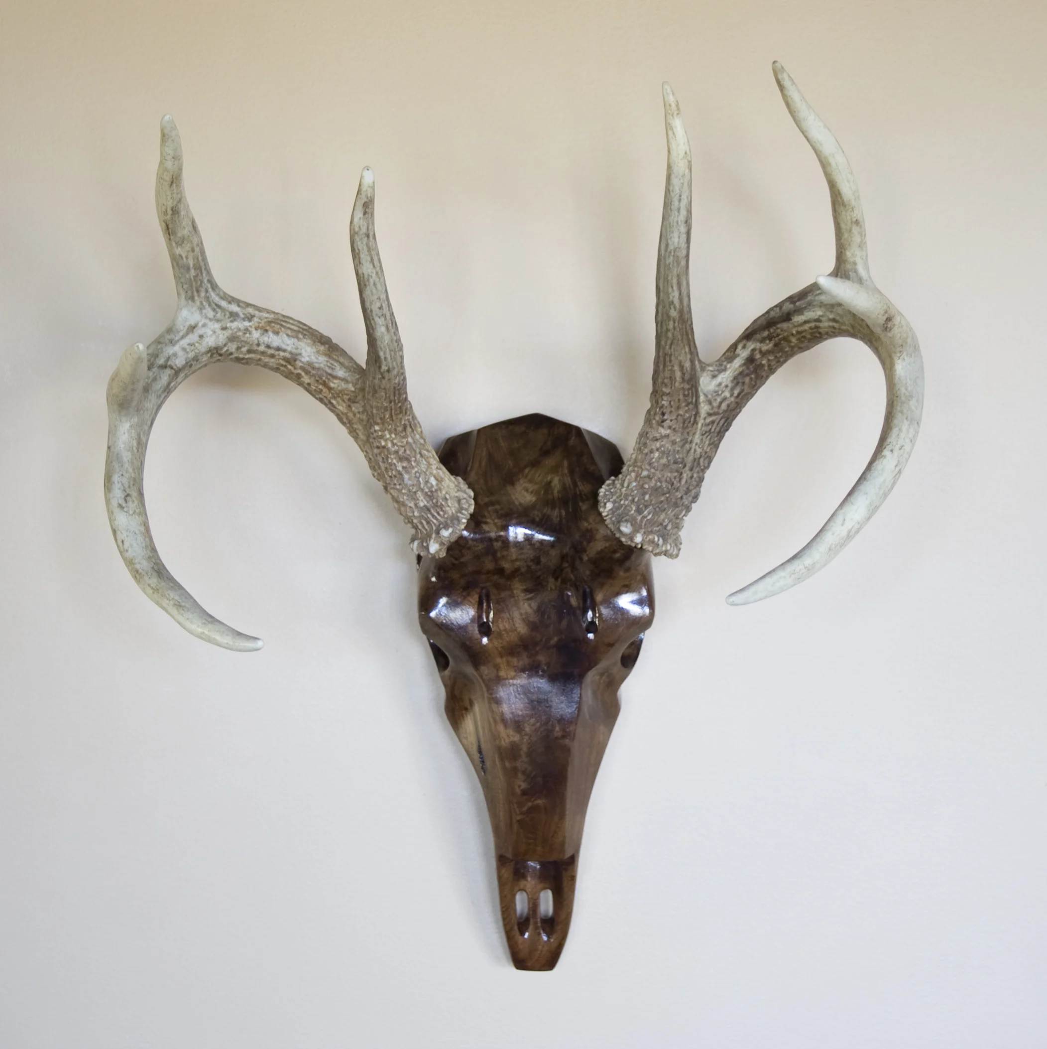 Black Walnut Whitetail