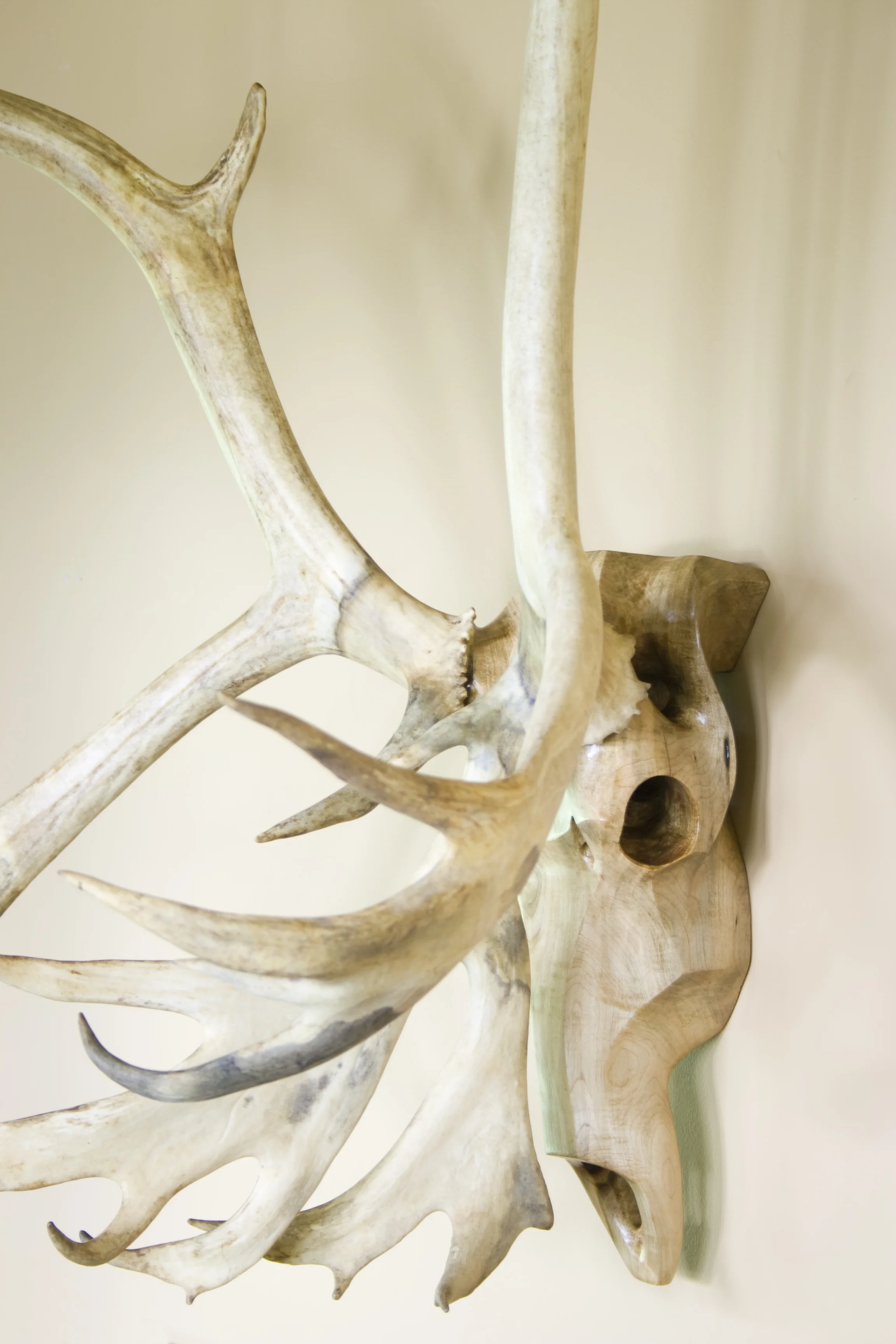 Maple Caribou