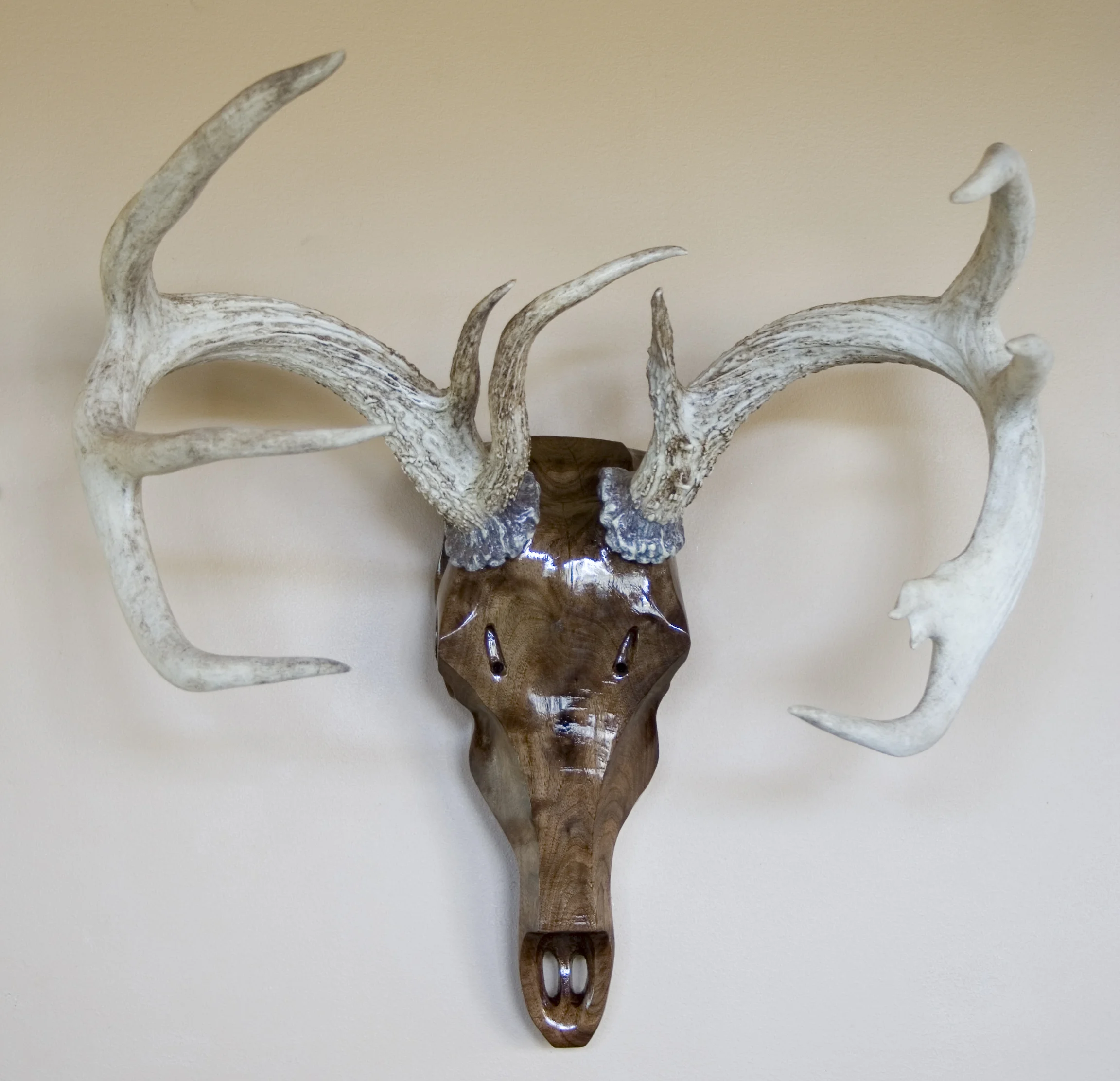 Black Walnut Whitetail with Hand Carved Burrs