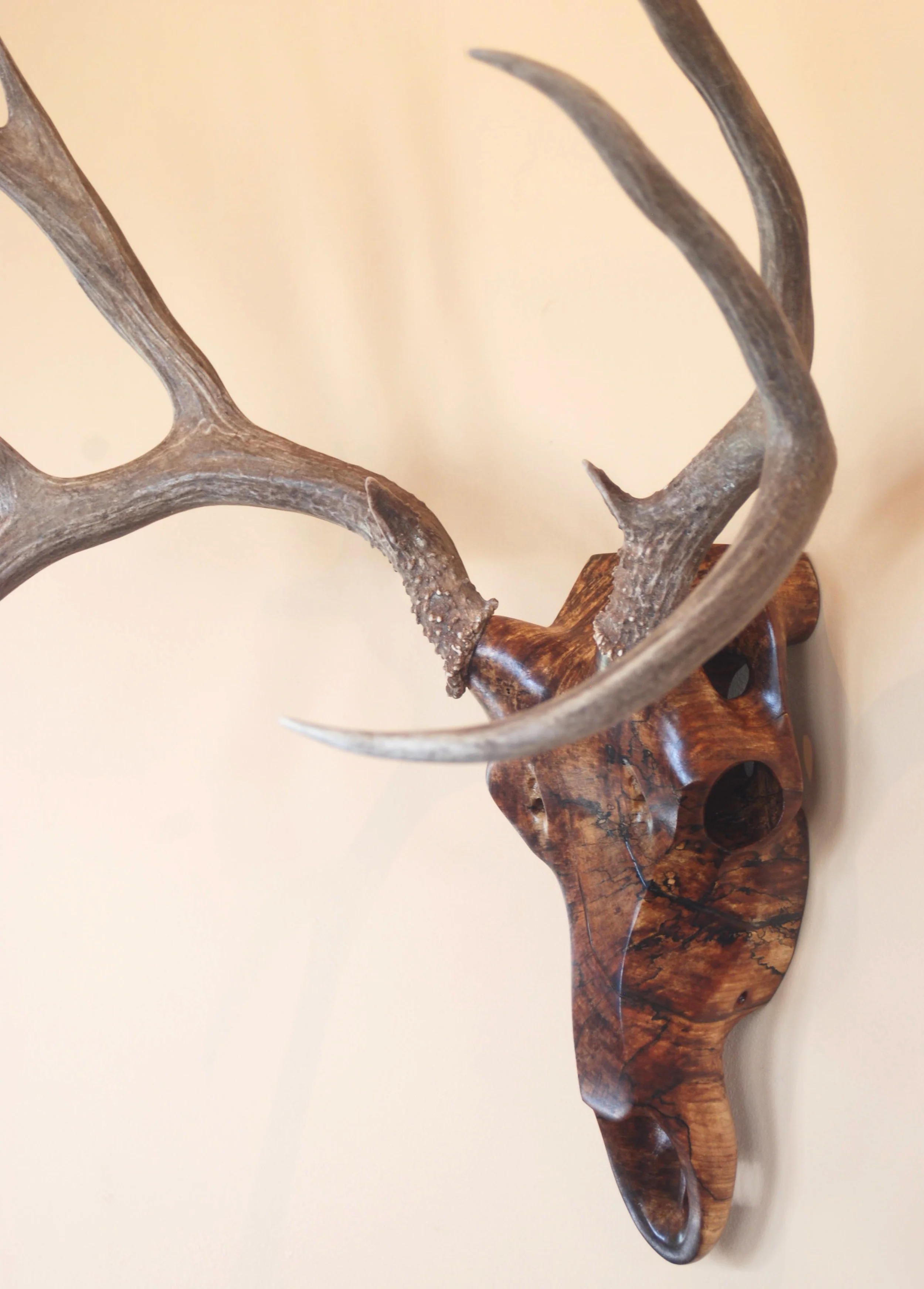 Spalted Maple Mule Deer
