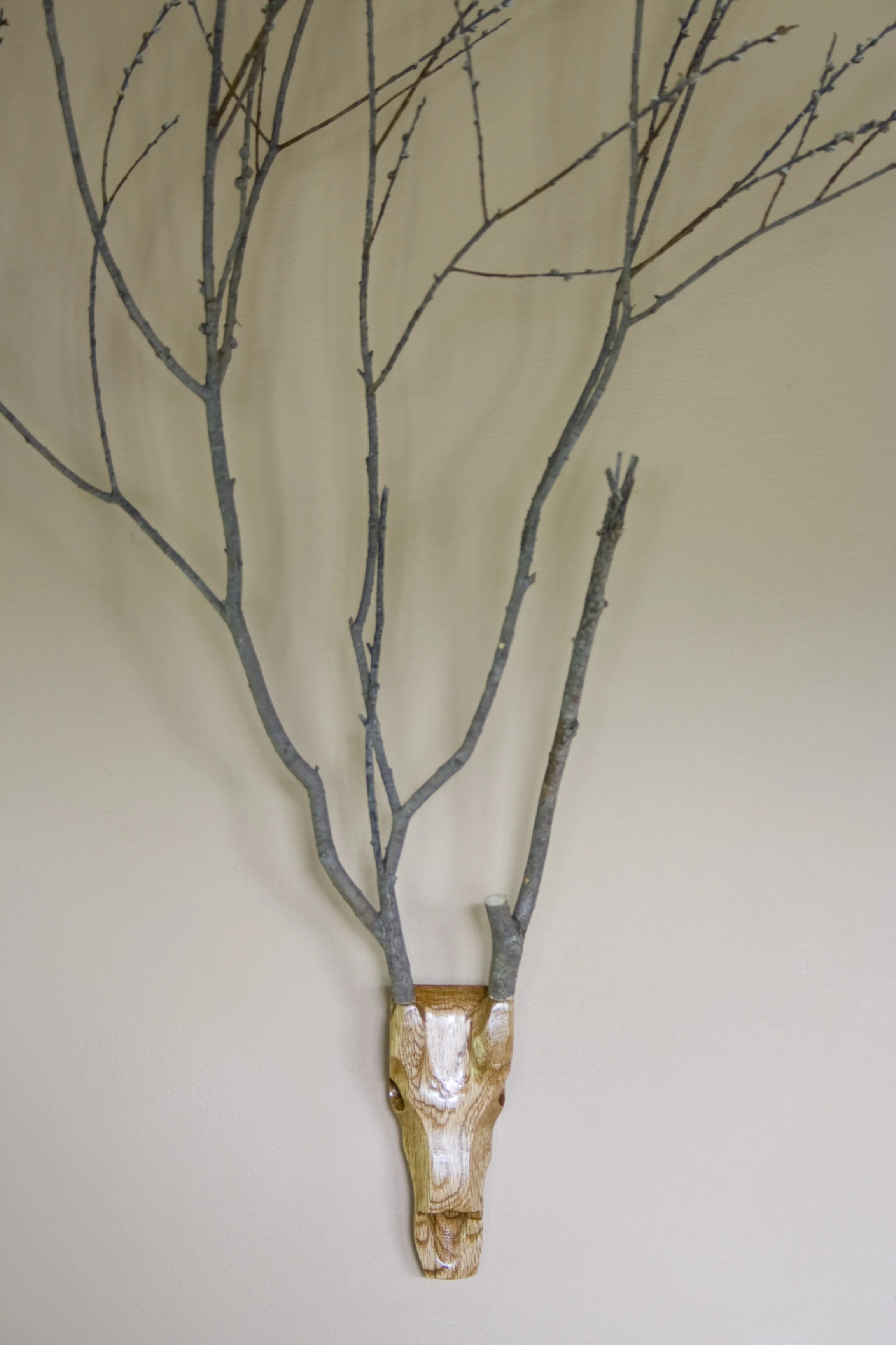 Oak Willowbok