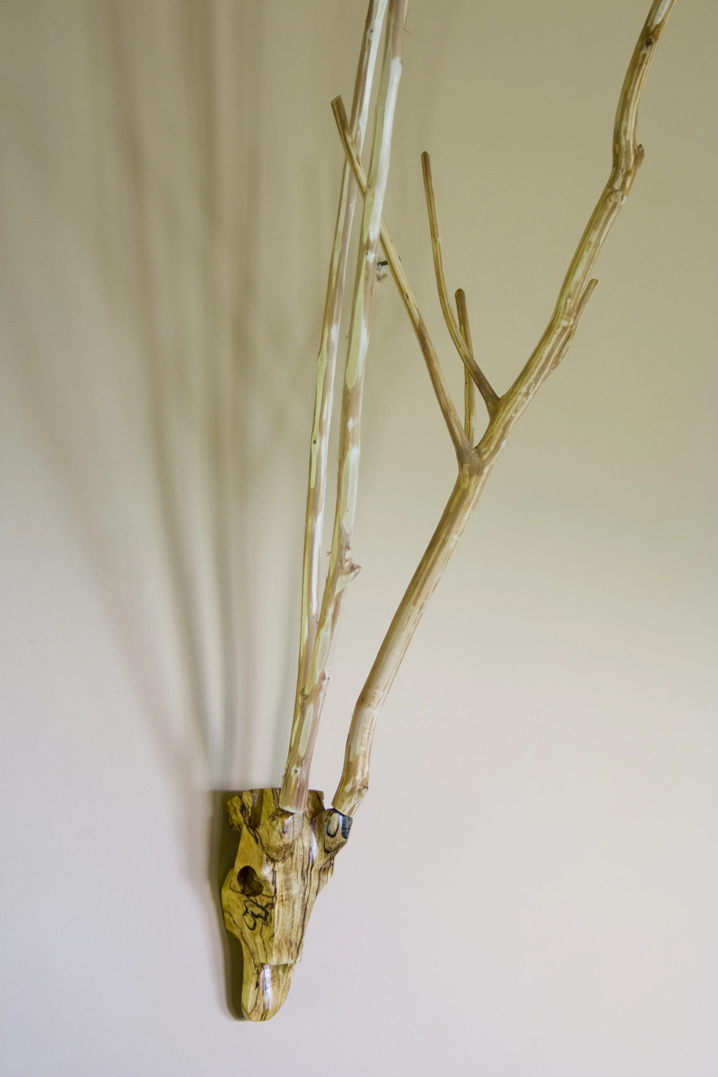 Spalted Maple Willowbok
