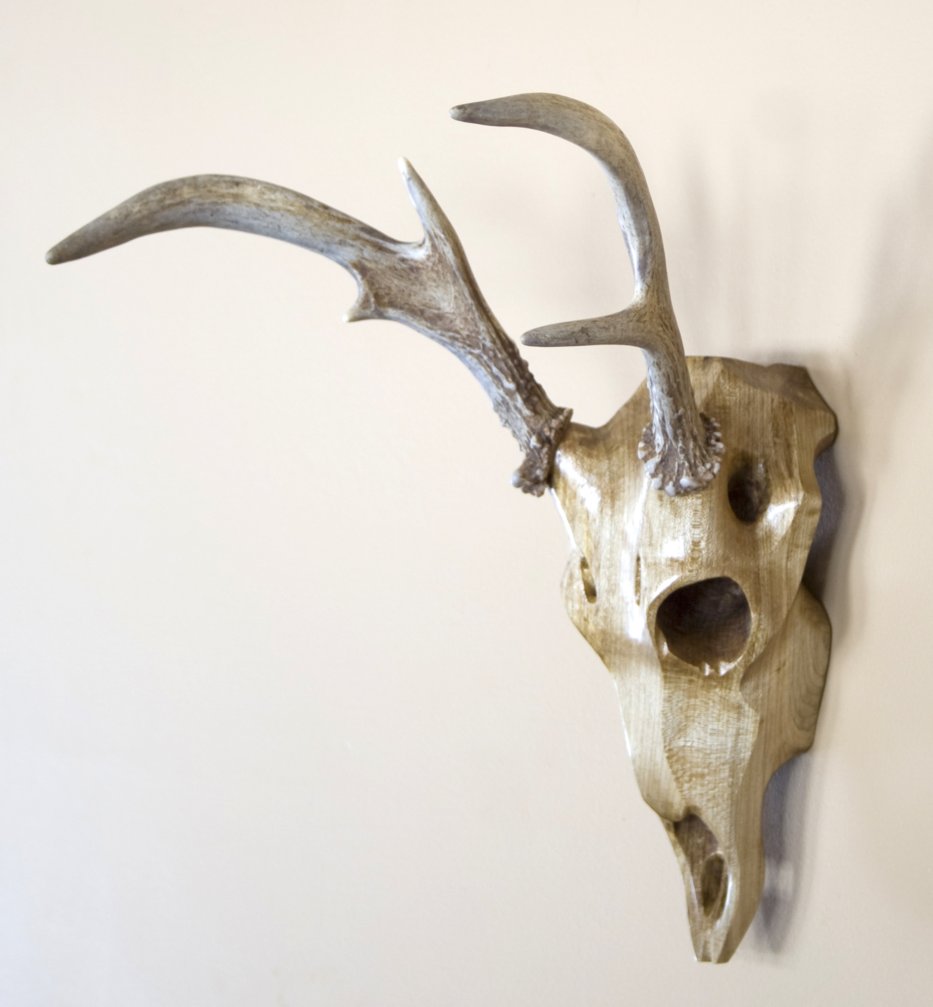 Maple Whitetail