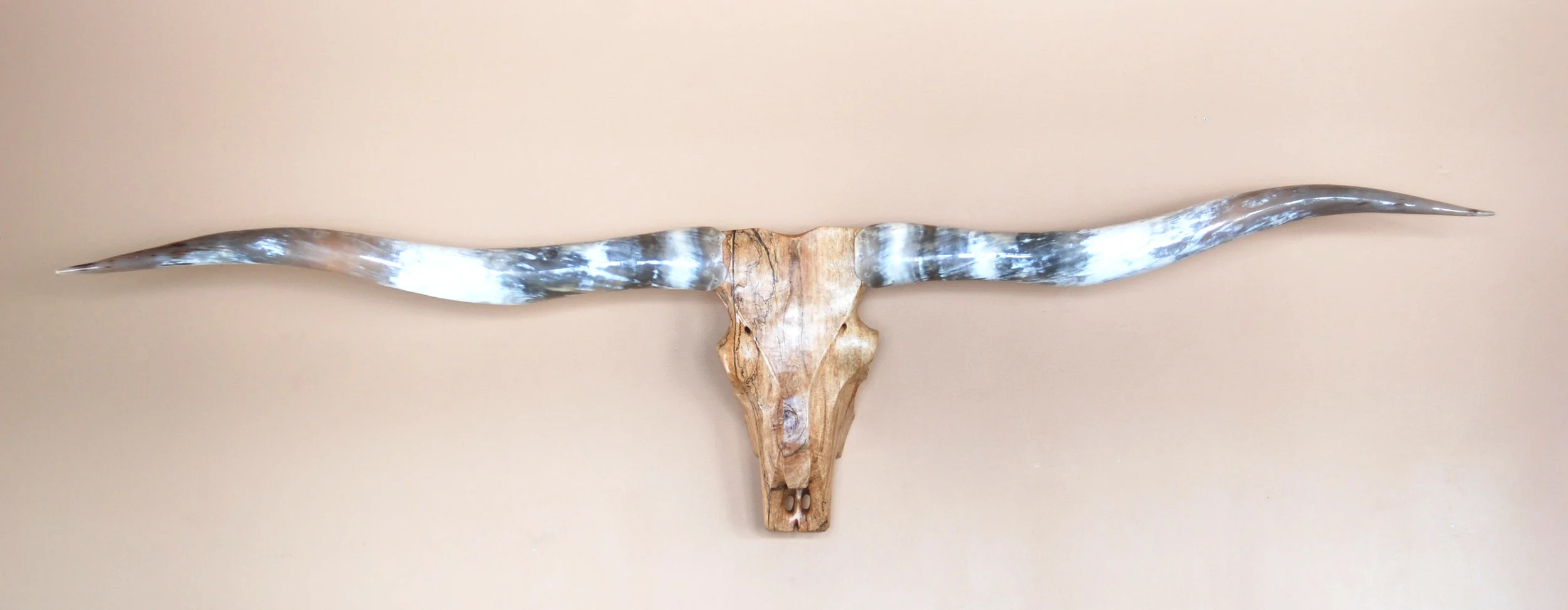 Spalted Maple Longhorn Cattle