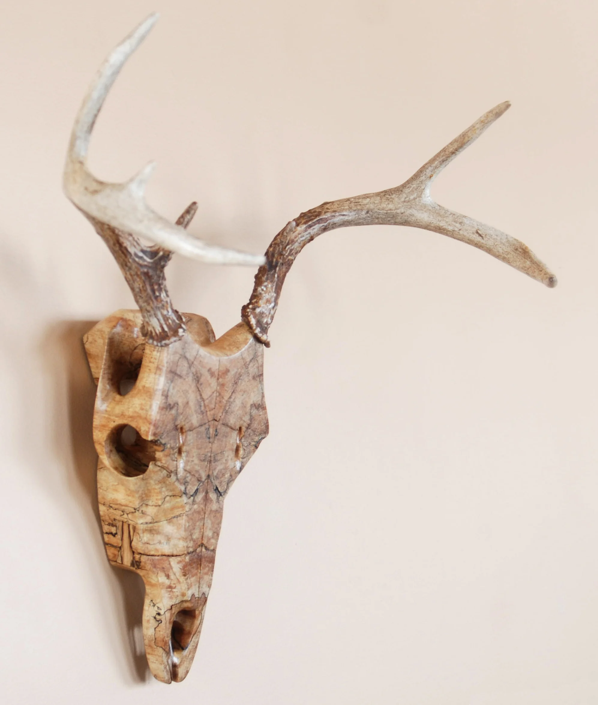 Spalted Maple Whitetail