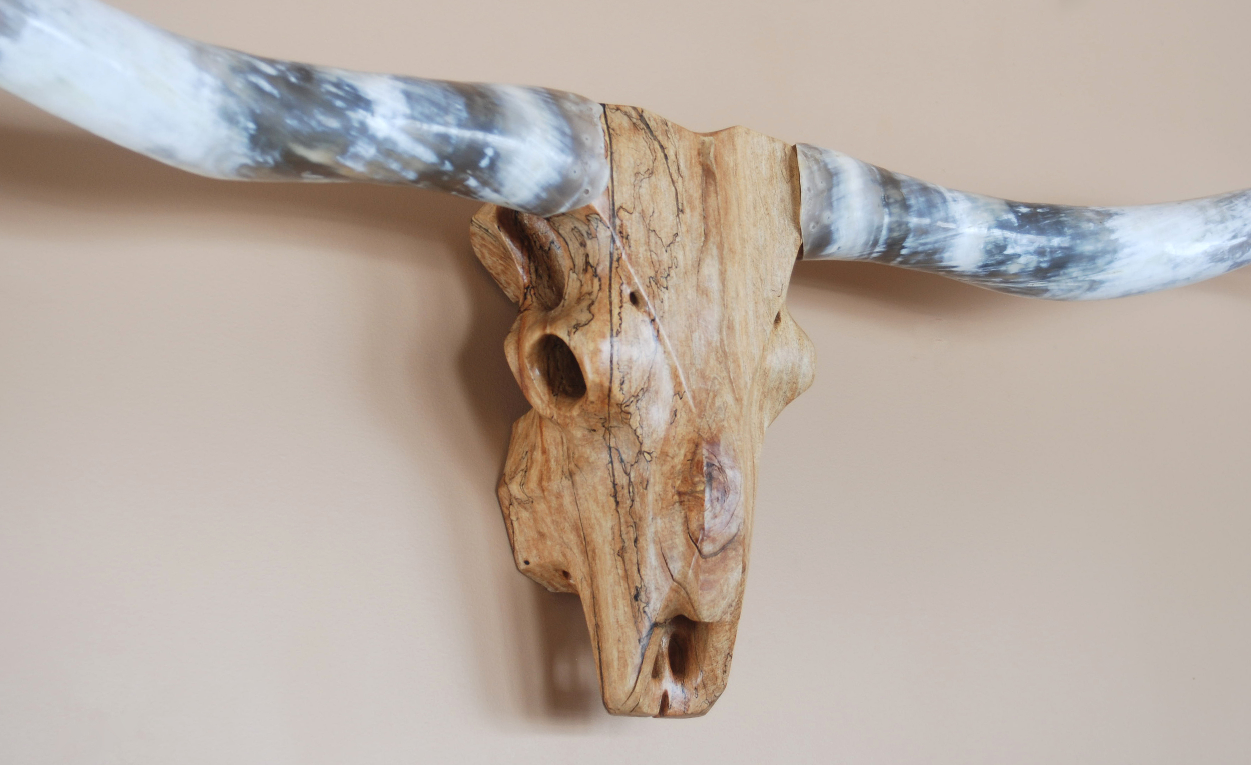 Spalted Maple Longhorn Cattle