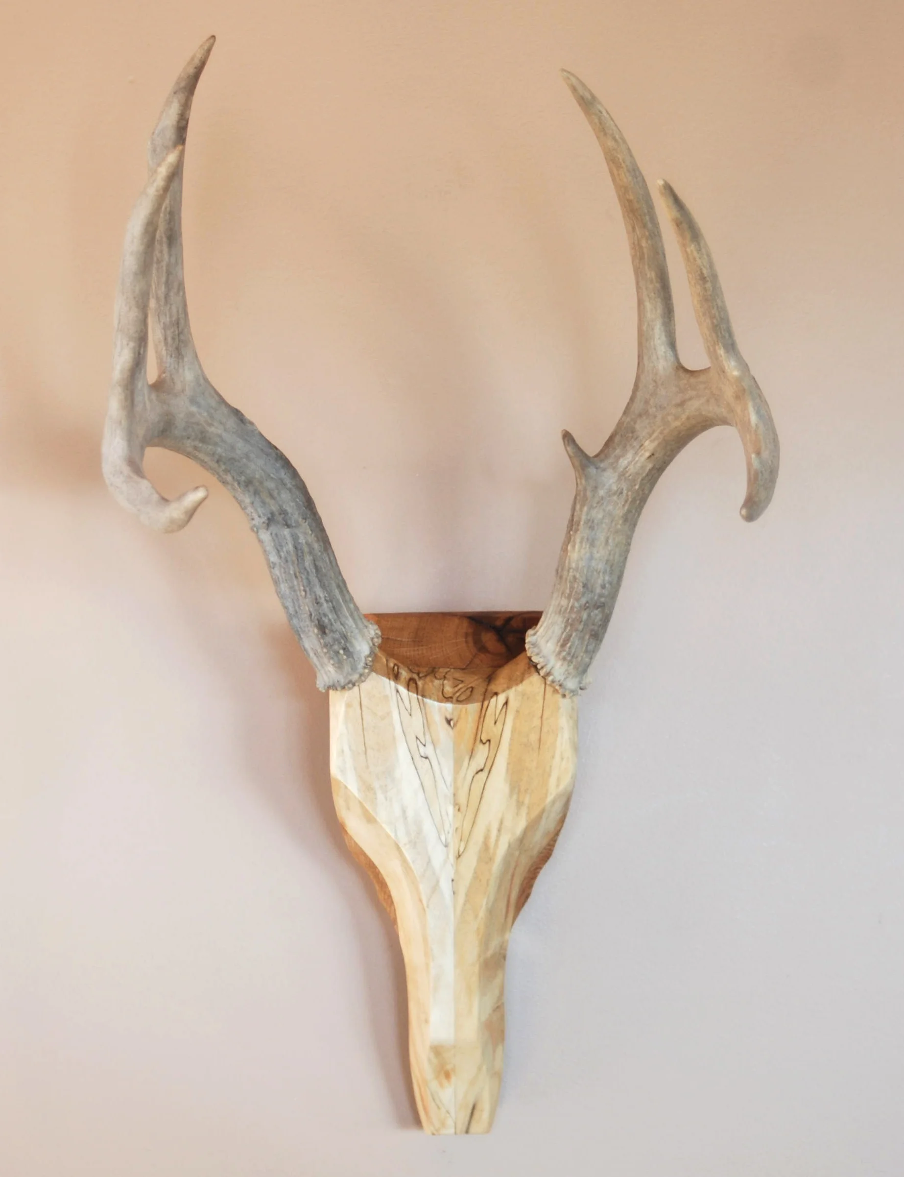 Box Elder and Red Oak Whitetail