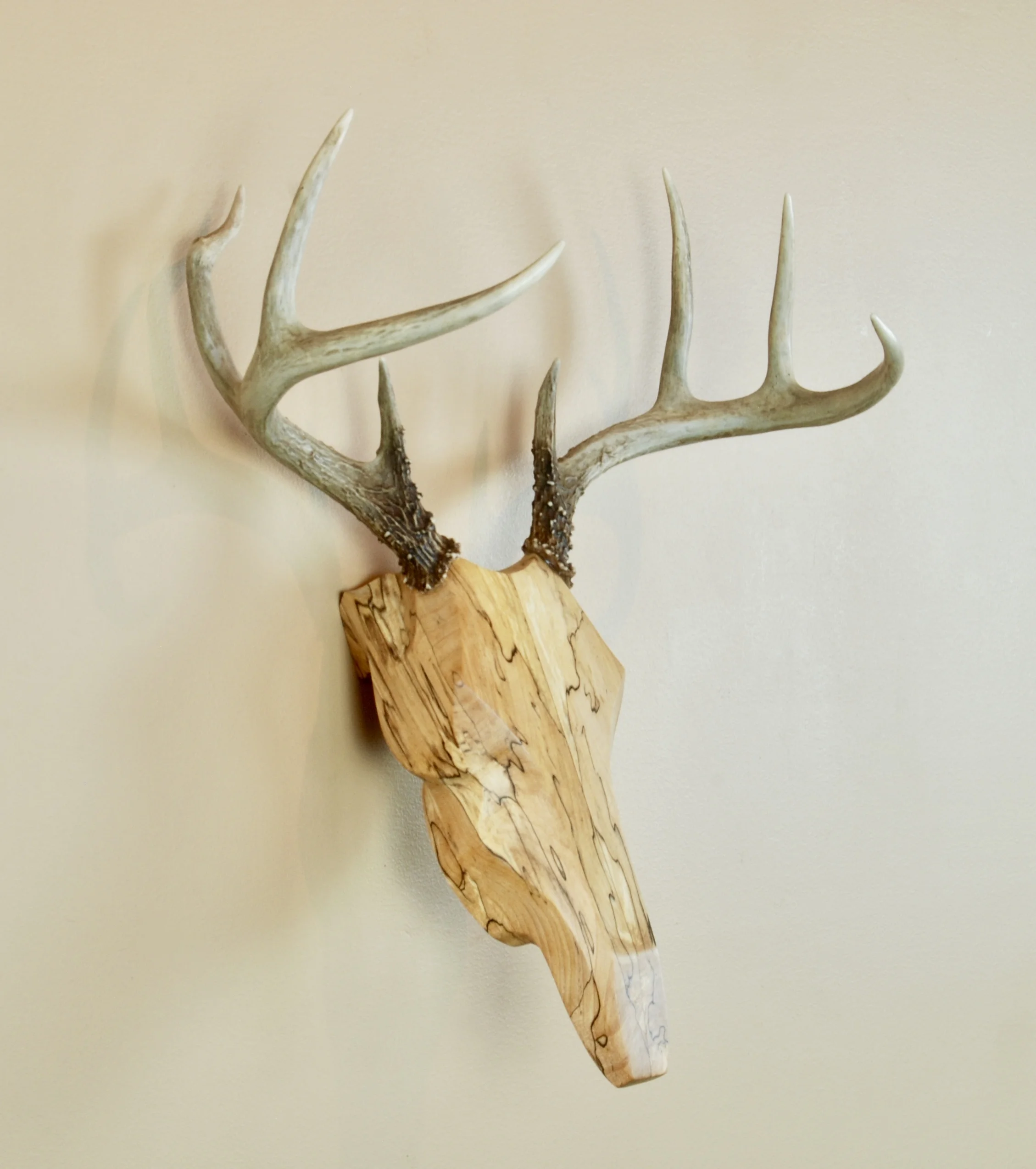 Decor book matched spalted maple whitetail