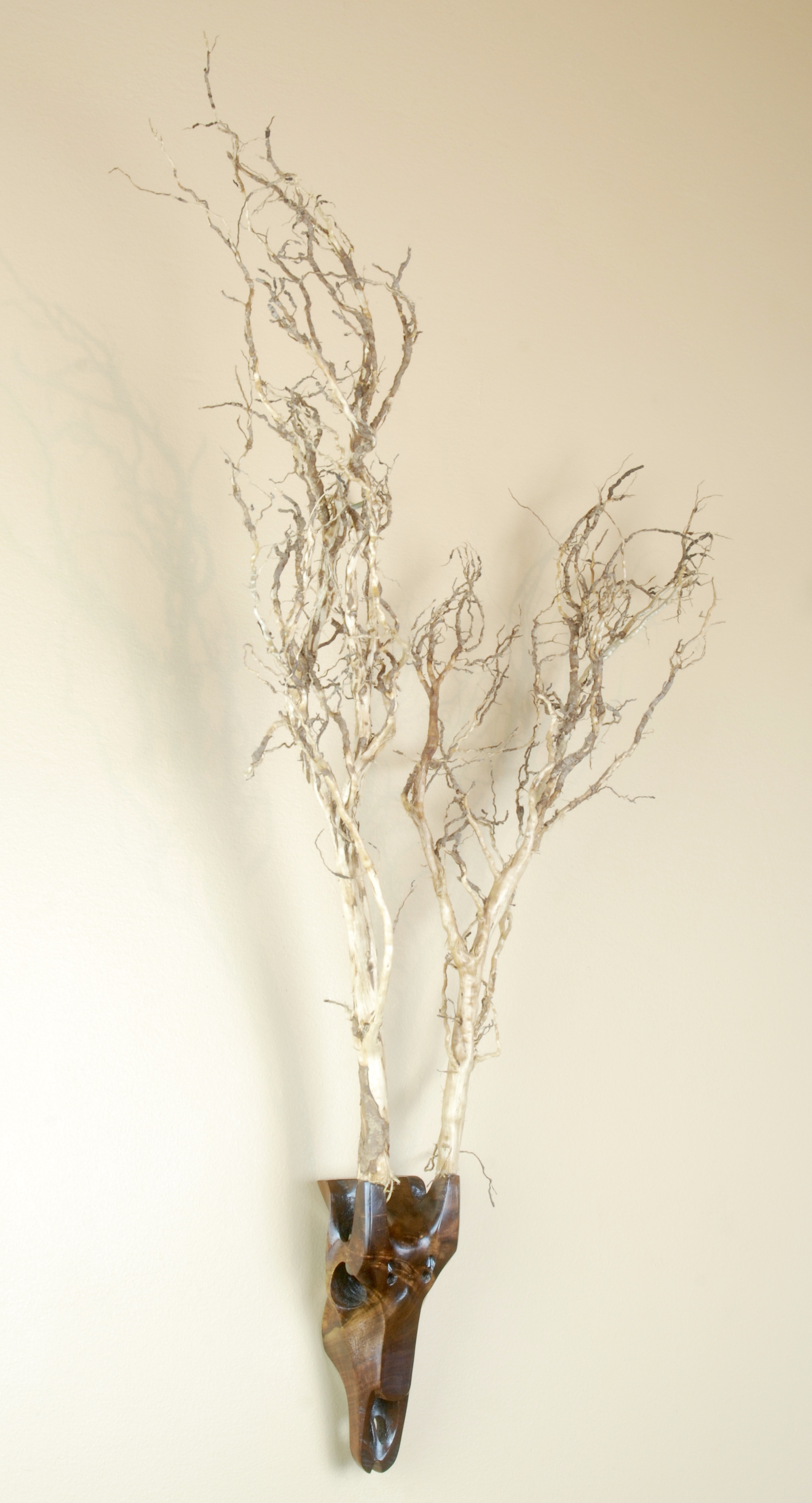 Black Walnut Willowbok with Root Antlers