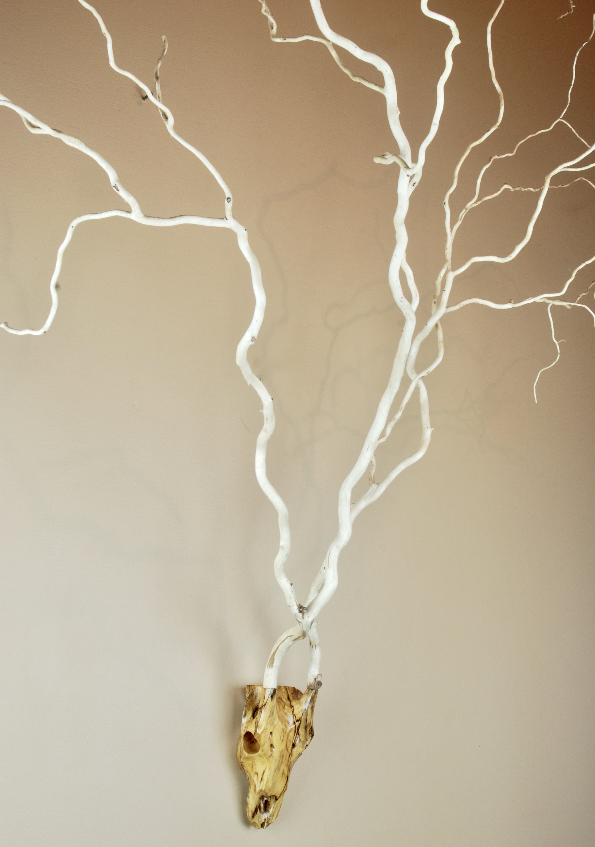 Spalted Maple Willowbok with Branch Antlers