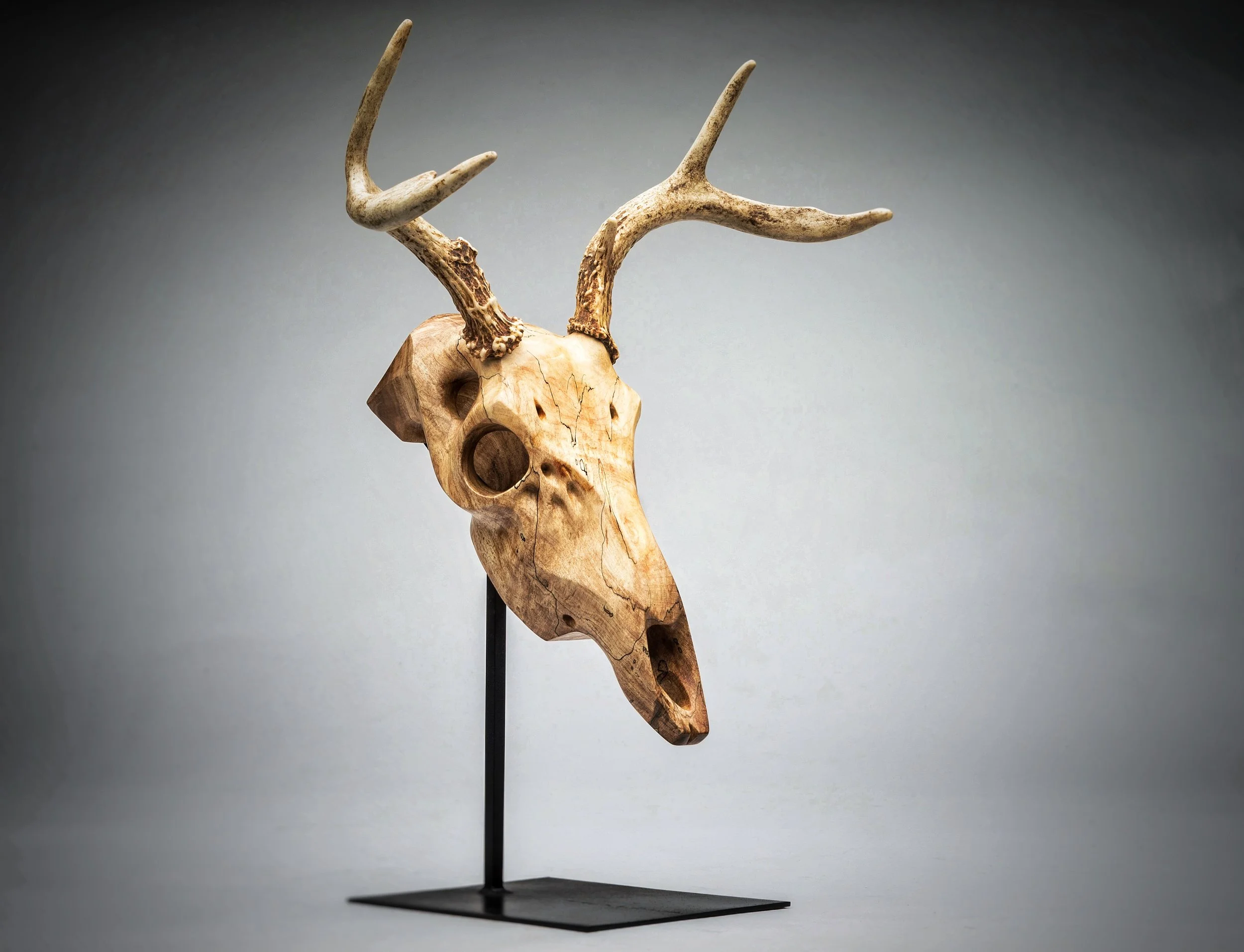 Spalted Maple Whitetail