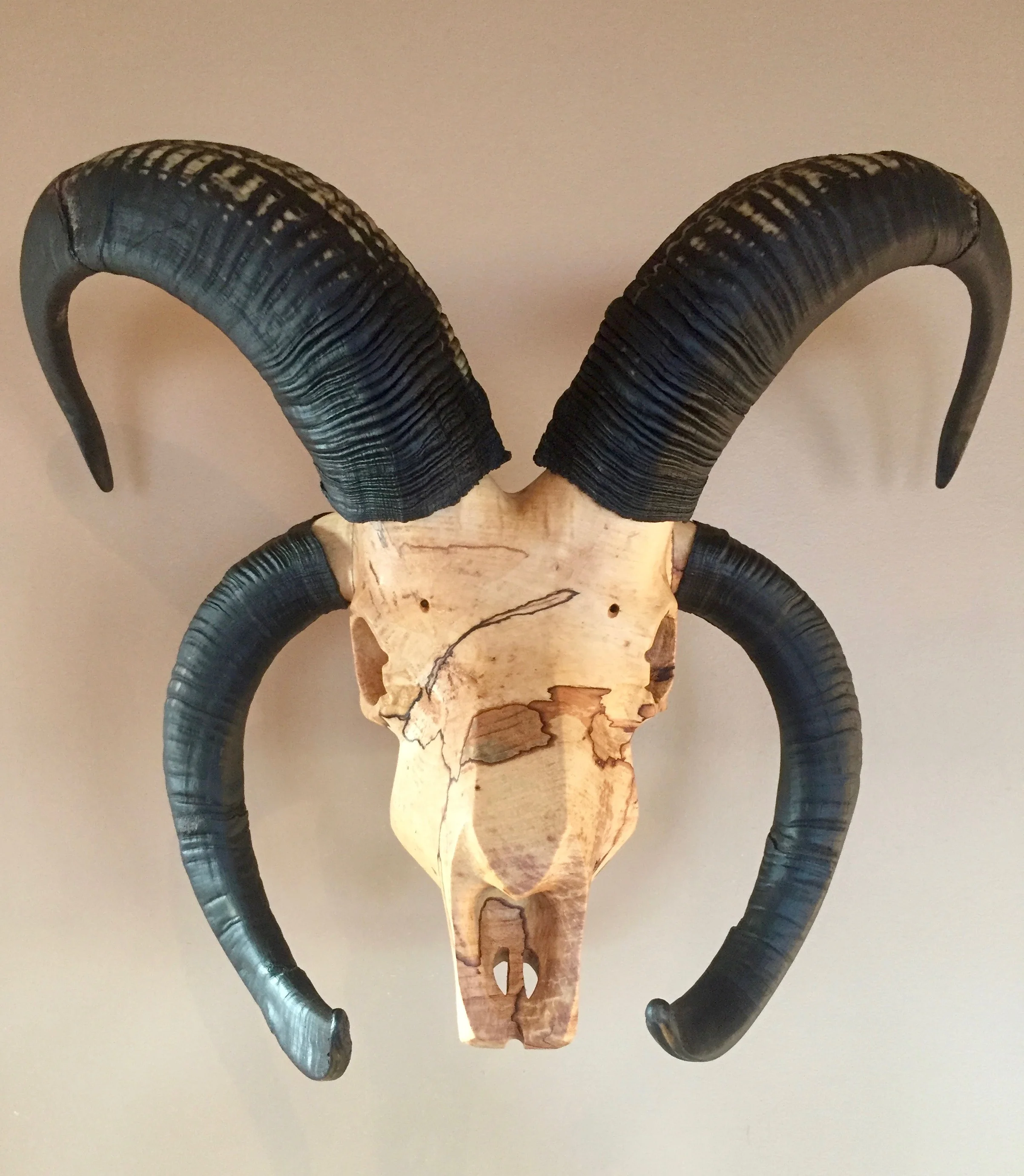 Spalted Maple Jacob Ram
