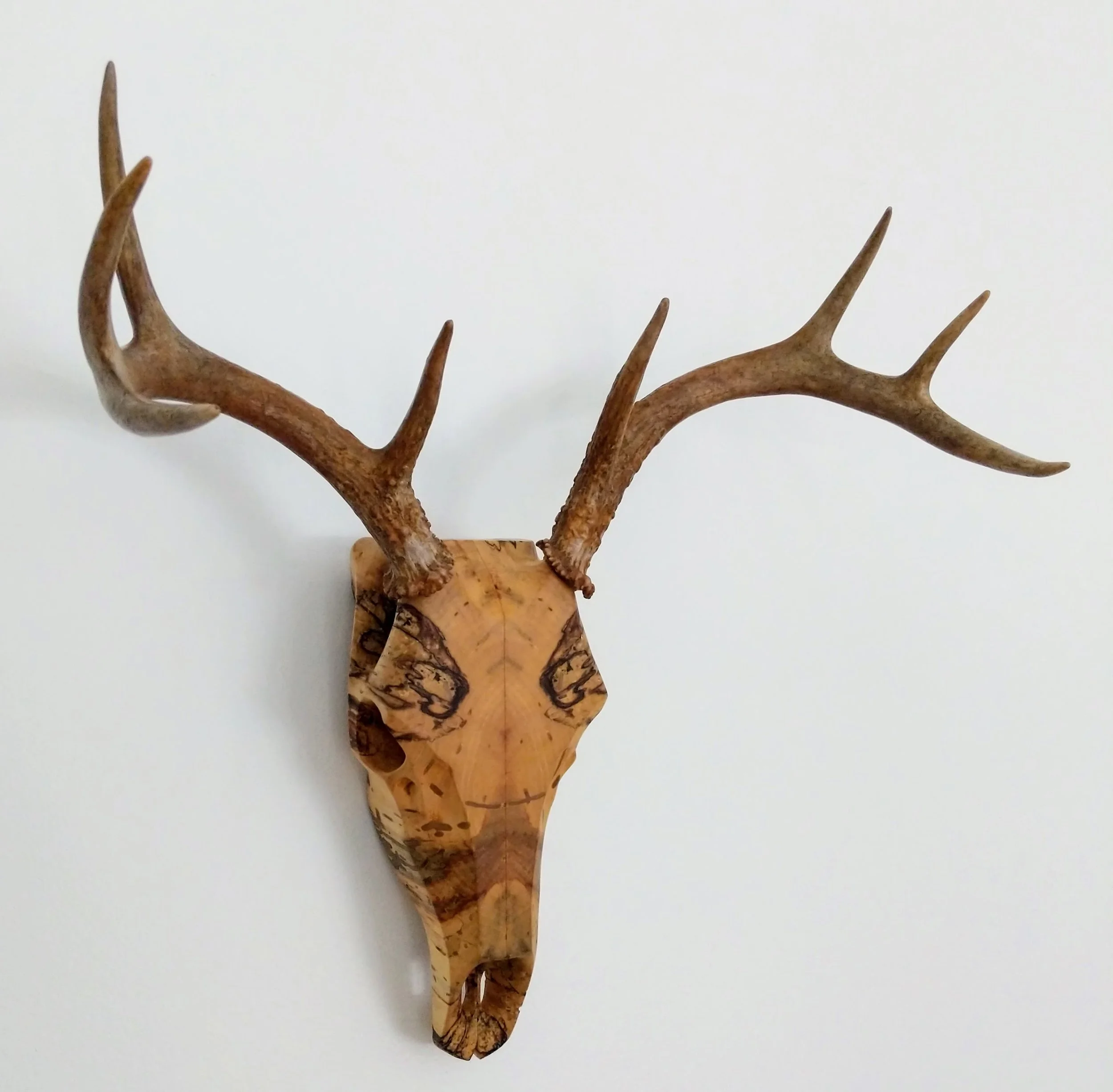Bookmatched Spalted Maple Whitetail