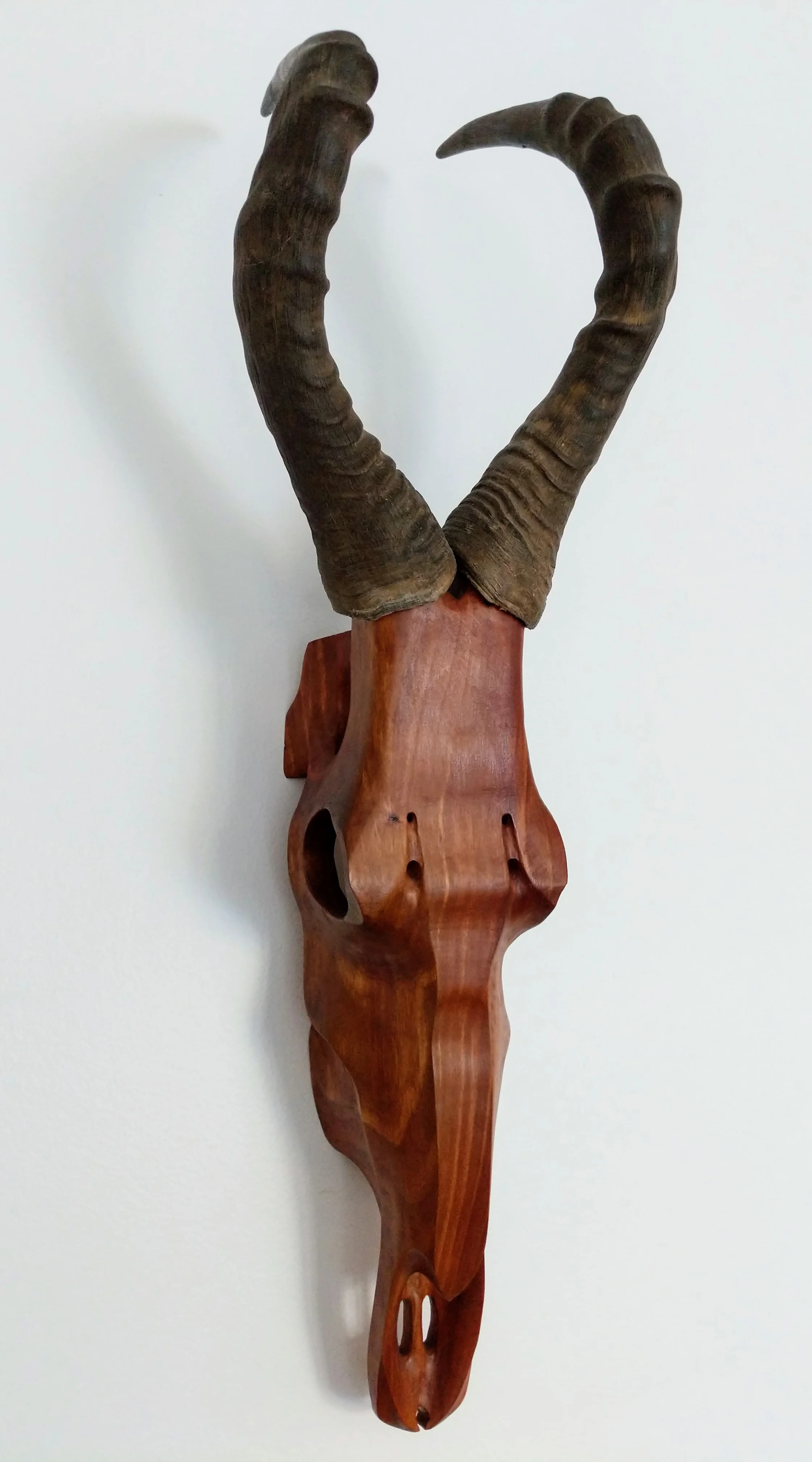 cherry hartebeest