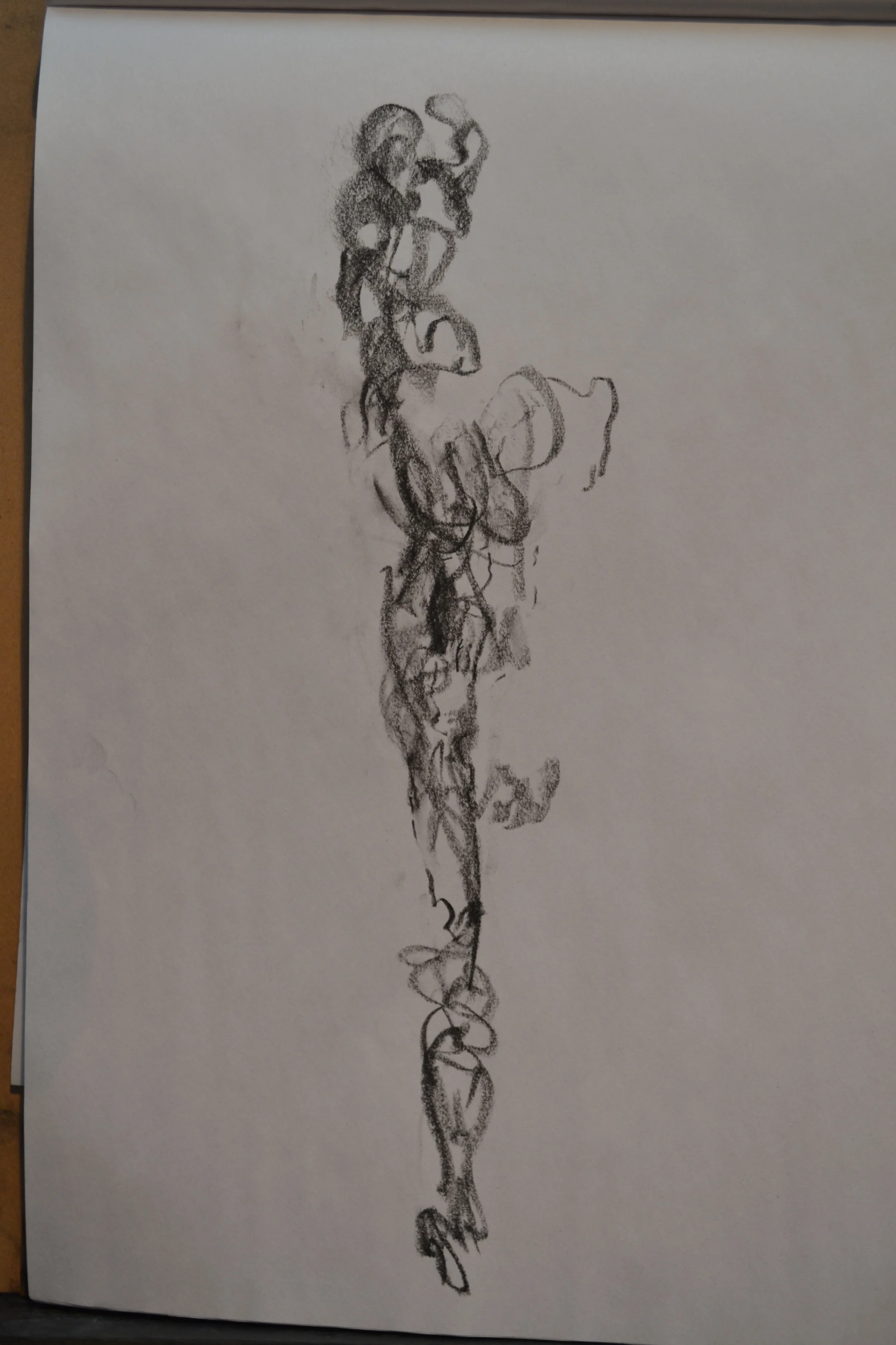 DSC_0340.jpg