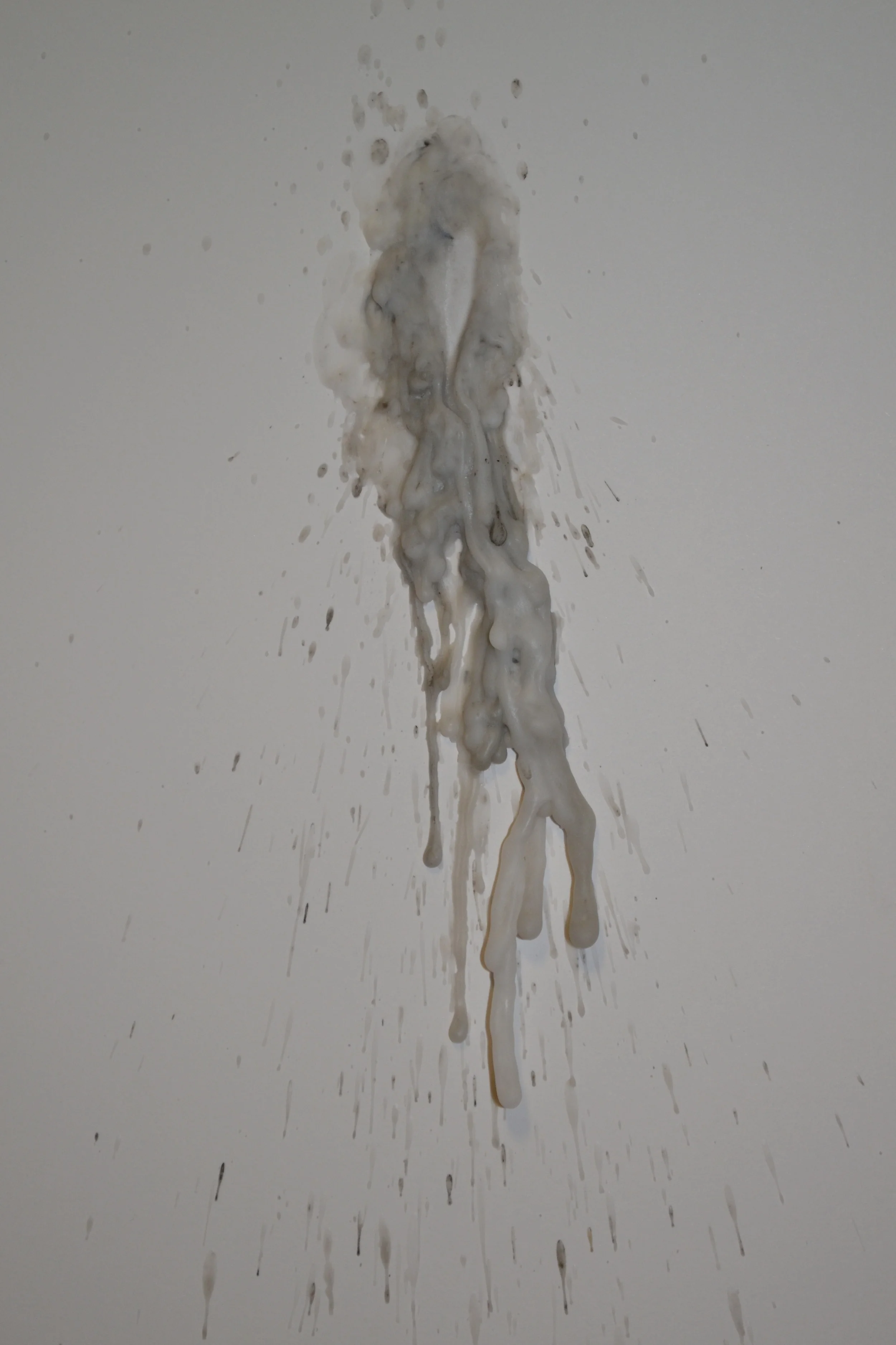 DSC_0491.jpg