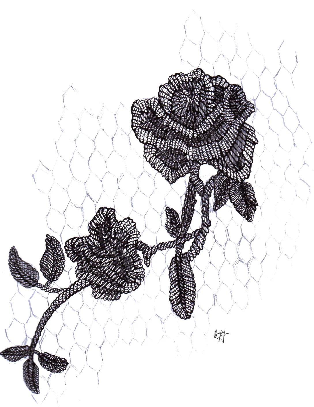 Pen and ink detail of Clover Canyon A/! 14