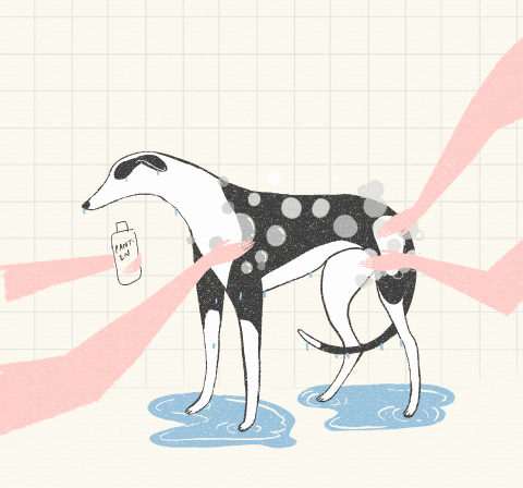 Untitled_Artwork-2.gif