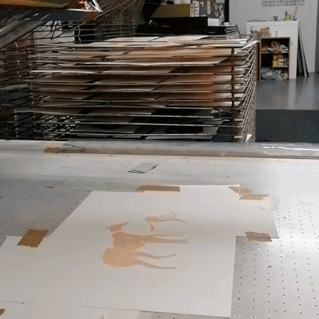 ezgif-1-4c88ad792d.gif