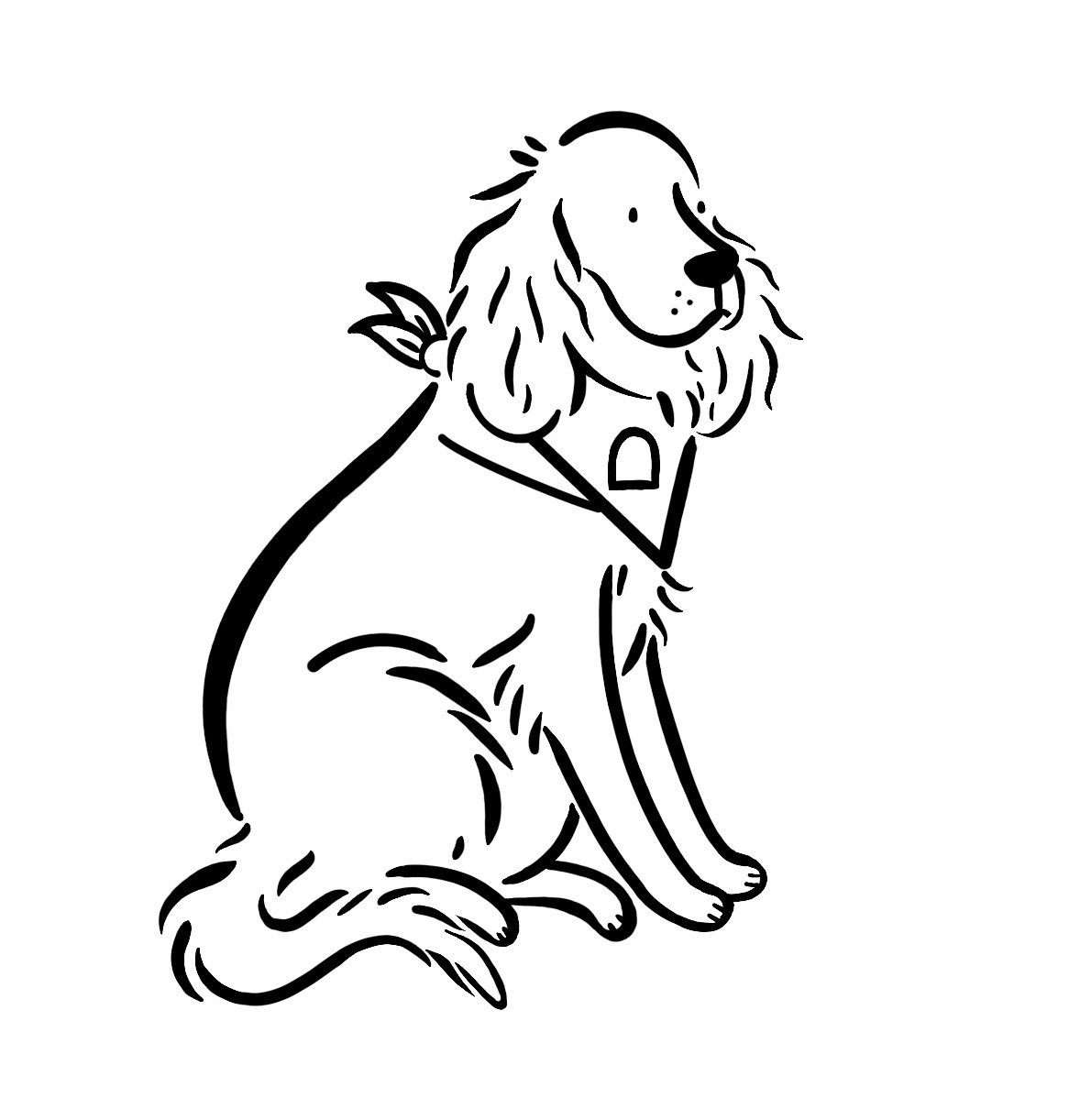spaniel  Large.jpeg