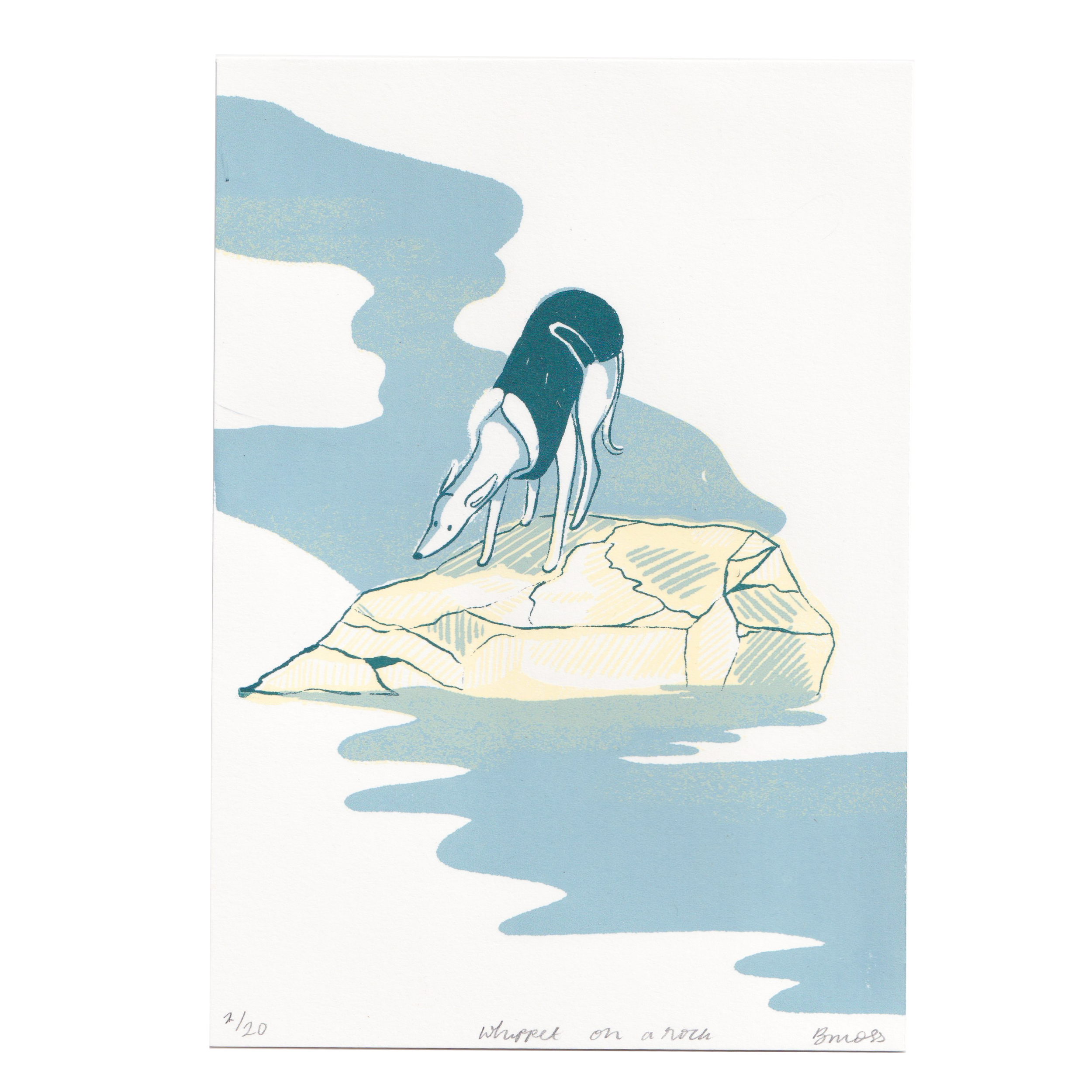 whippet on a rock.png