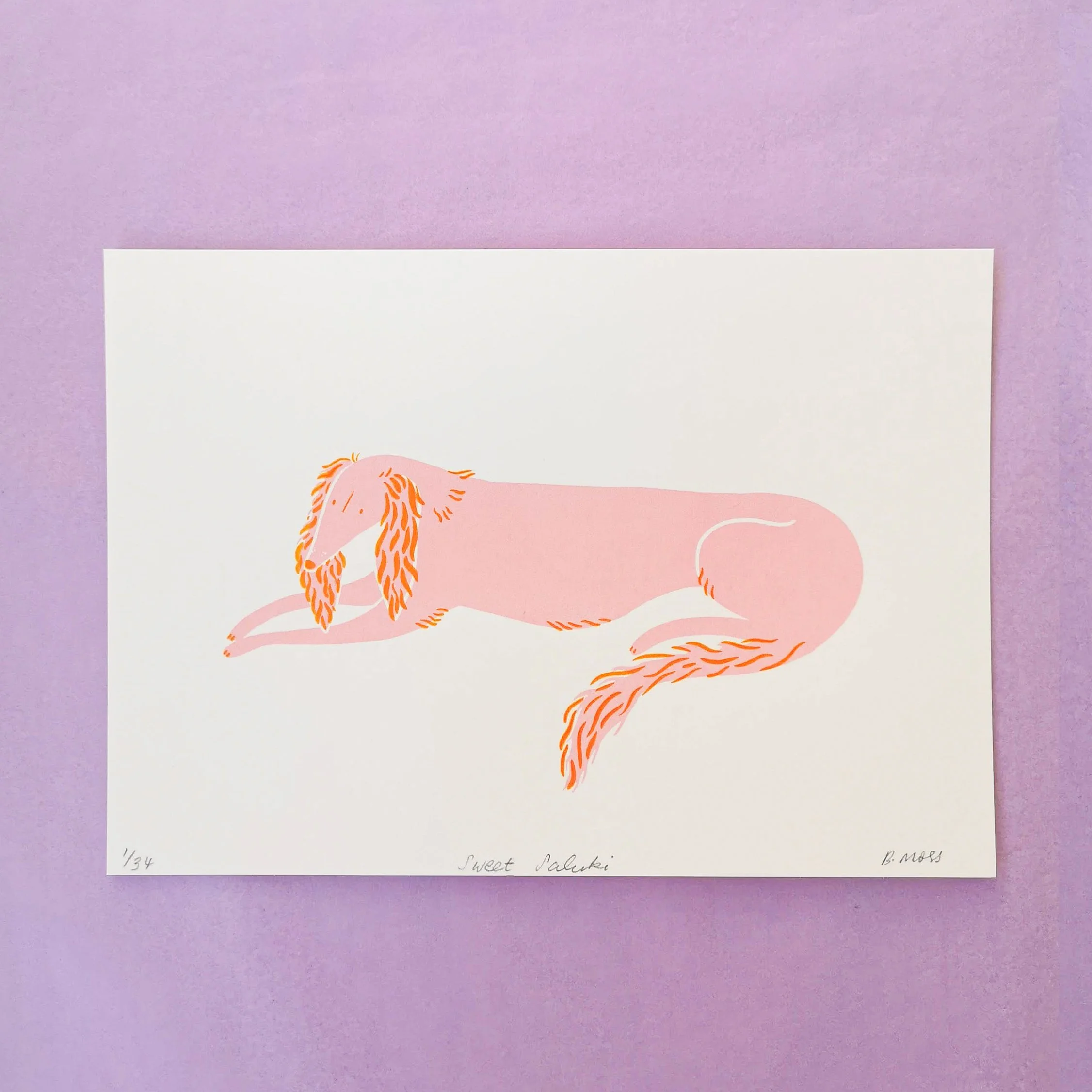 sweet saluki.jpg