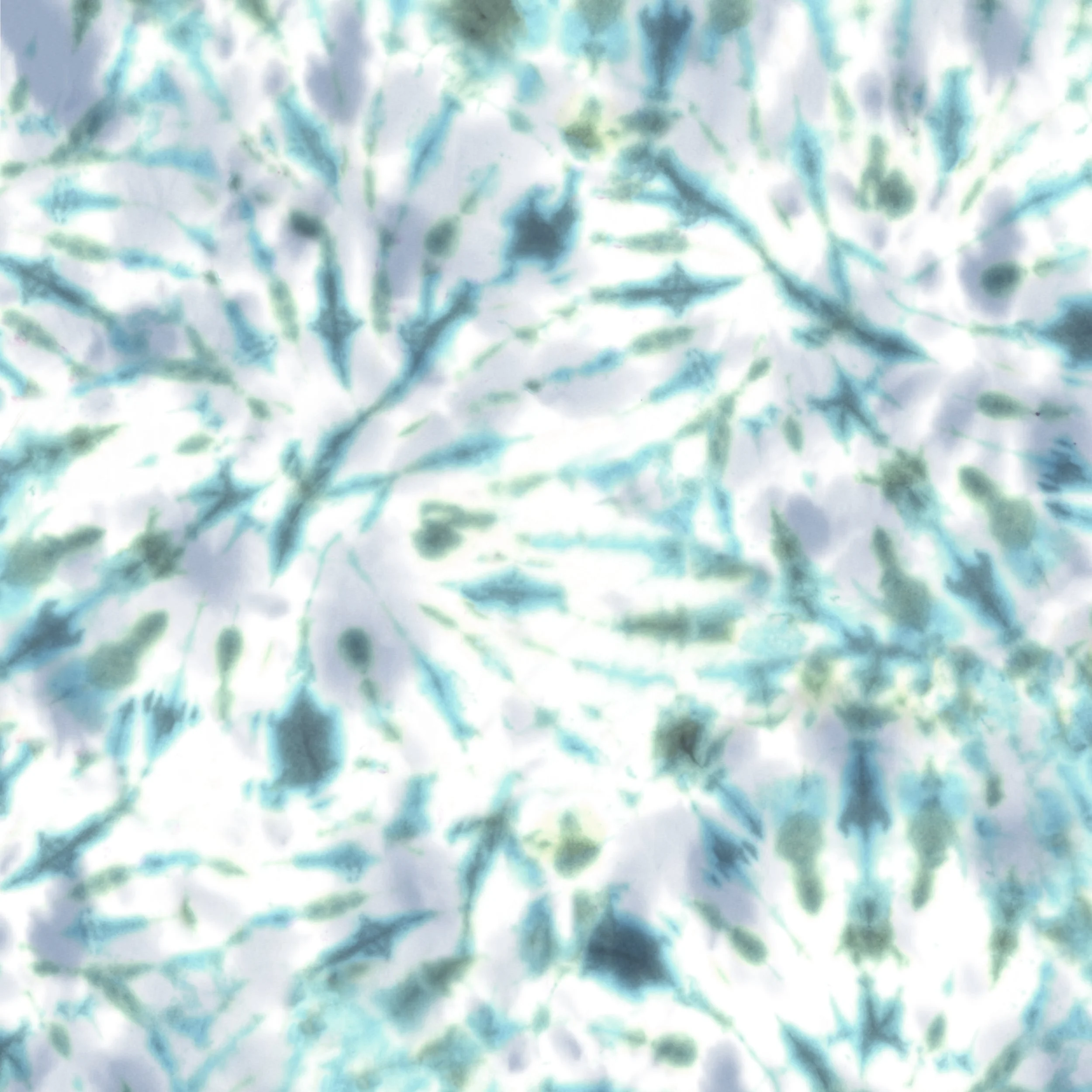 46-2423-CB (1) copy.jpg